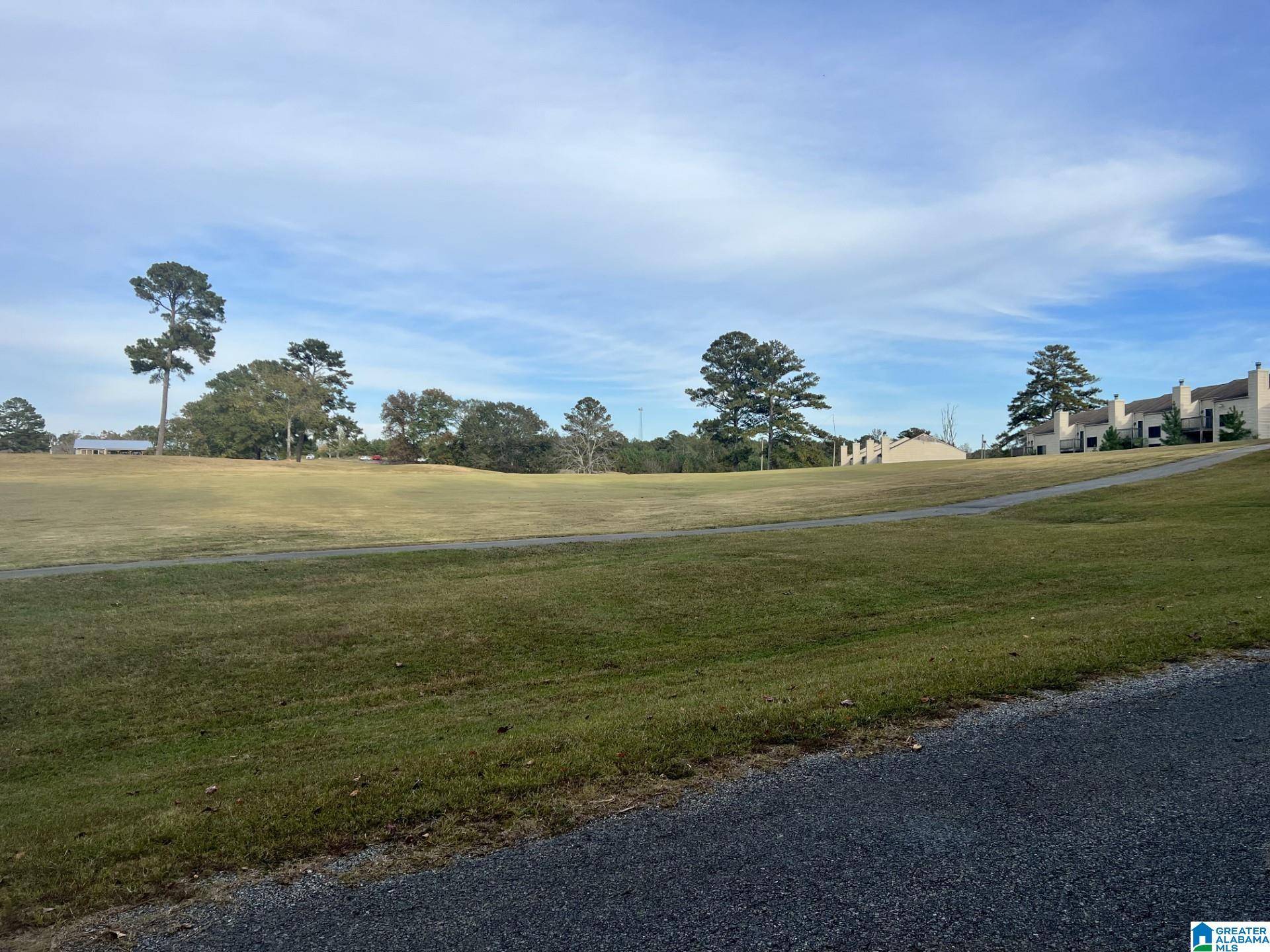 Alpine, AL 35014,JONES ROAD #10