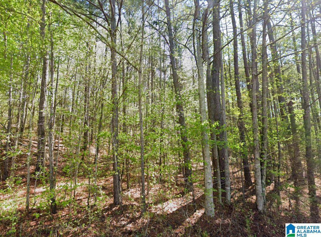 Wedowee, AL 36278,0 HIGHWAY 48 #-