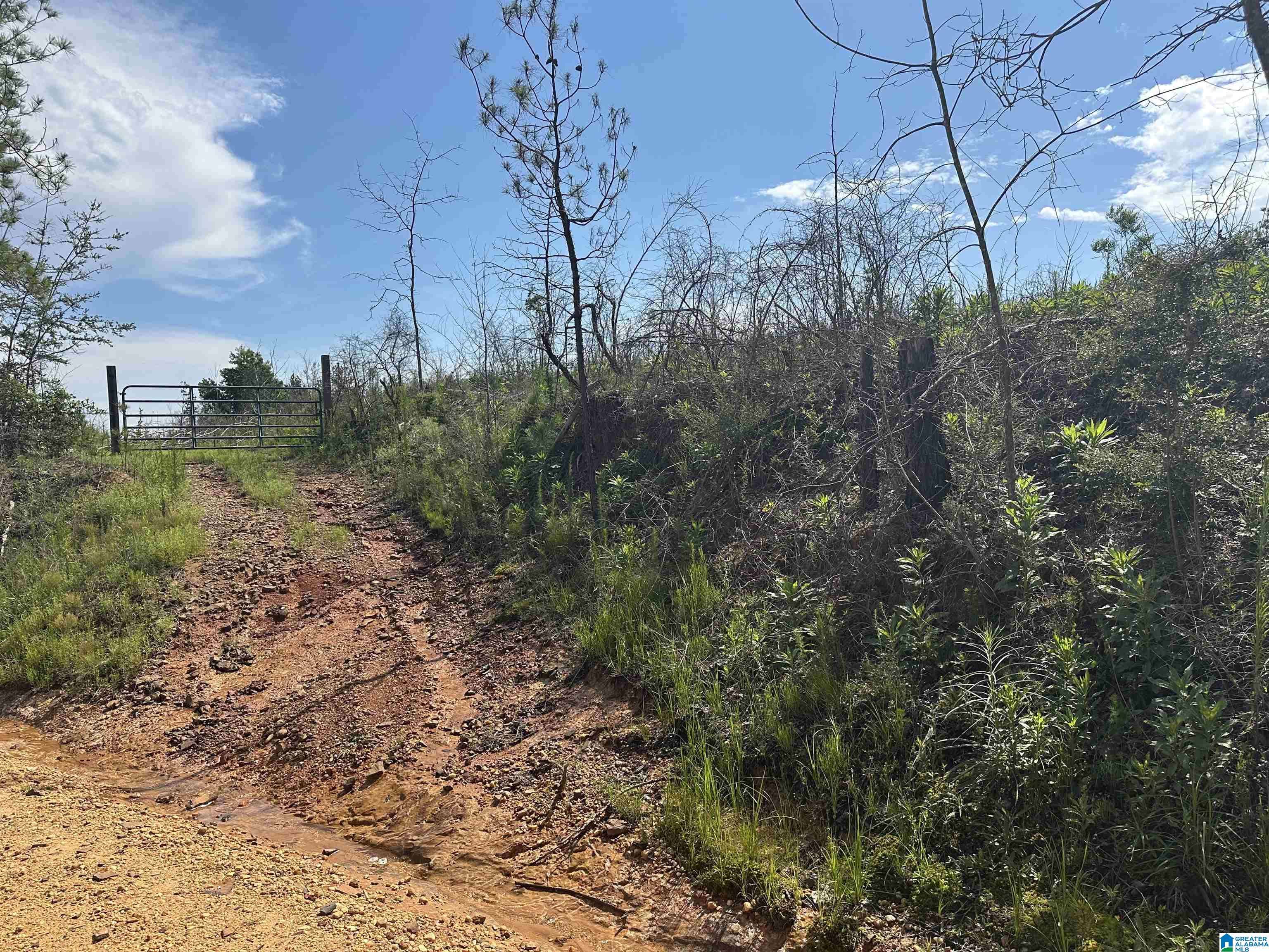 Maplesville, AL 36750,0 COUNTY ROAD 305 #1
