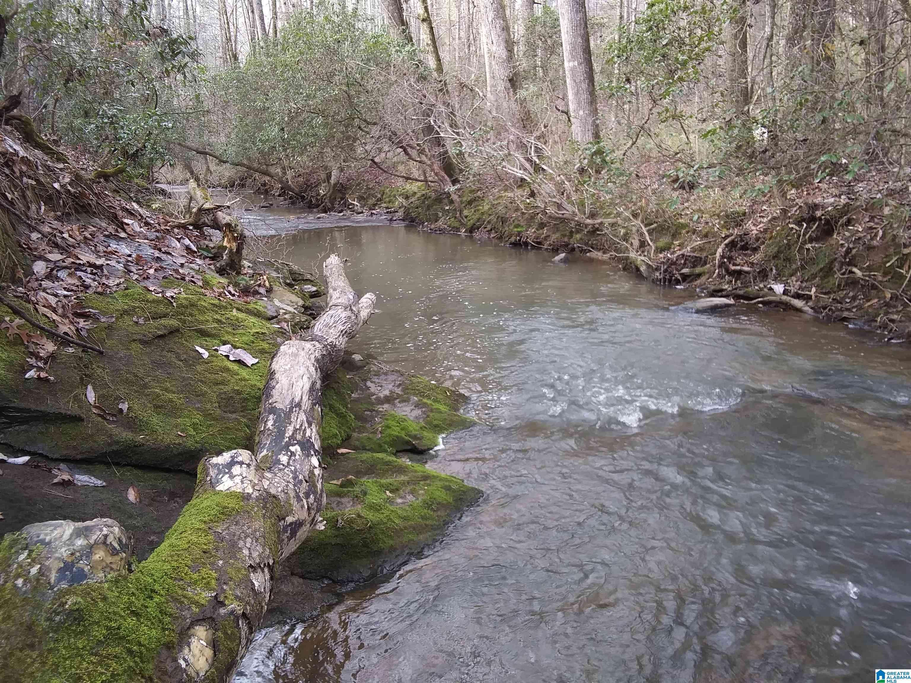Woodland, AL 36280,207 COUNTY ROAD 561