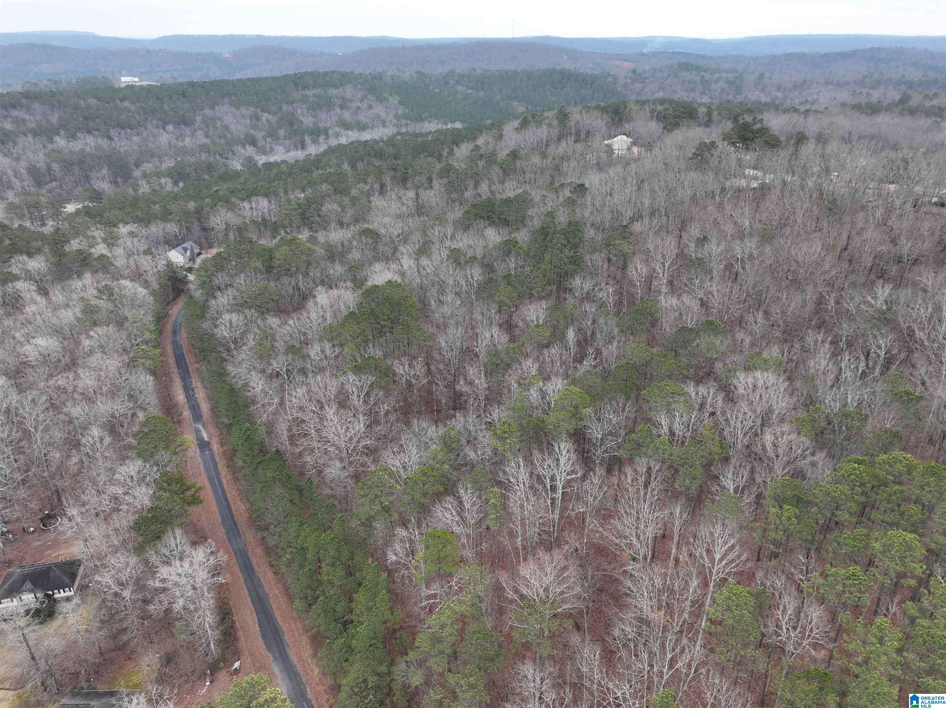 Odenville, AL 35120,Lot 1 HENDERSON ROAD #1