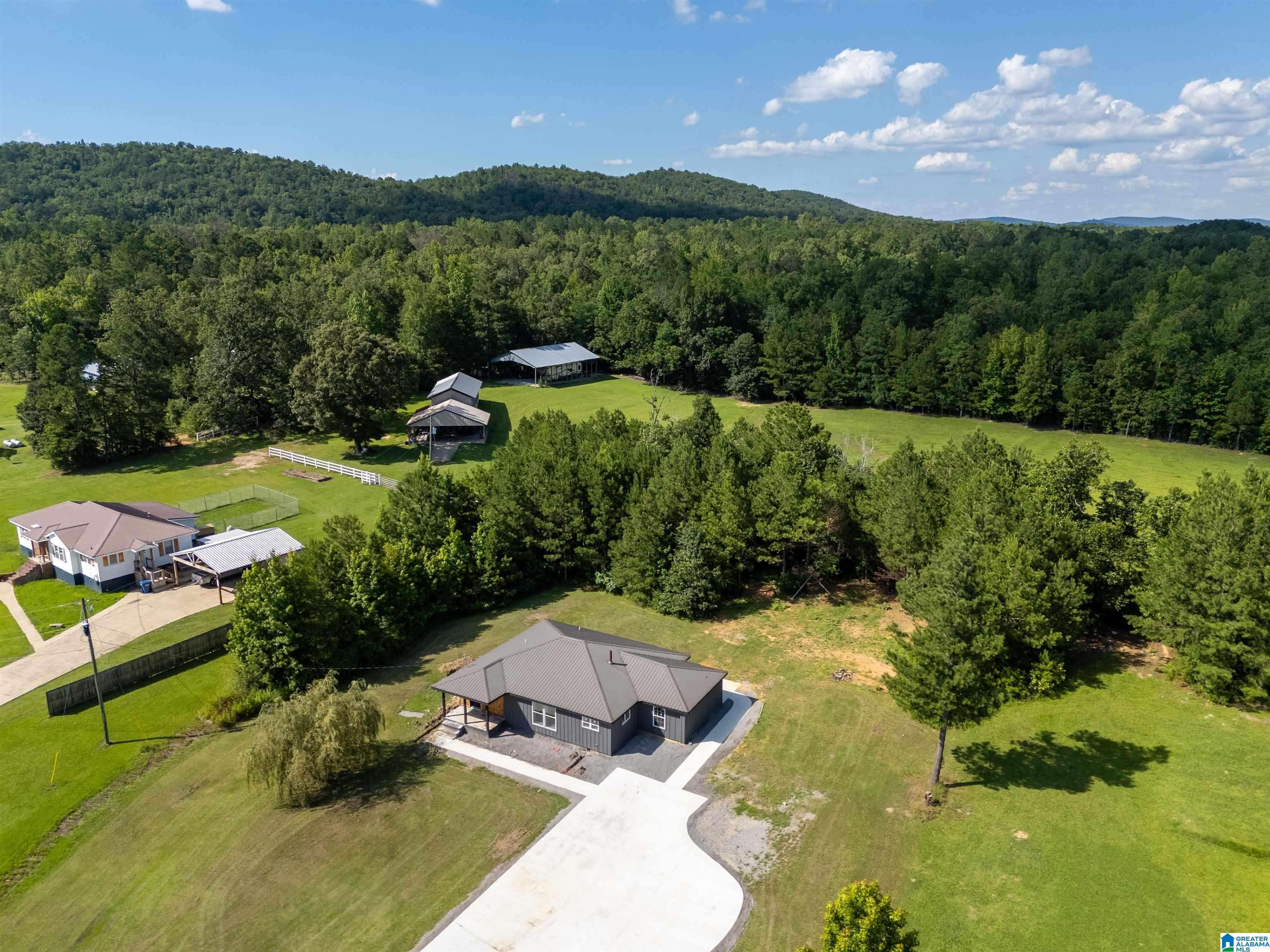 Wellington, AL 36279,2596 READS MILL ROAD