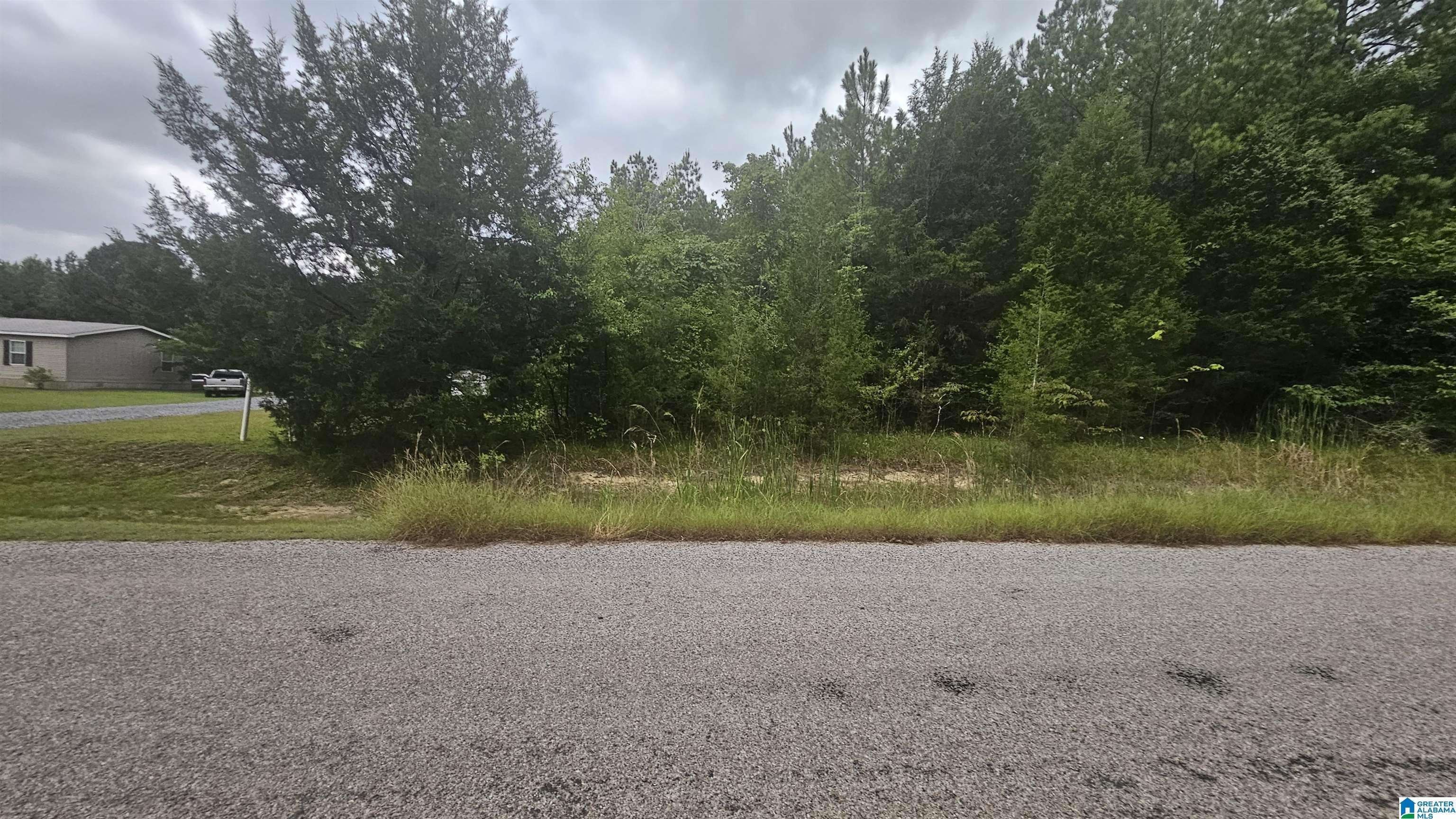 Selma, AL 36701,COUNTY ROAD 518 #Lot 23