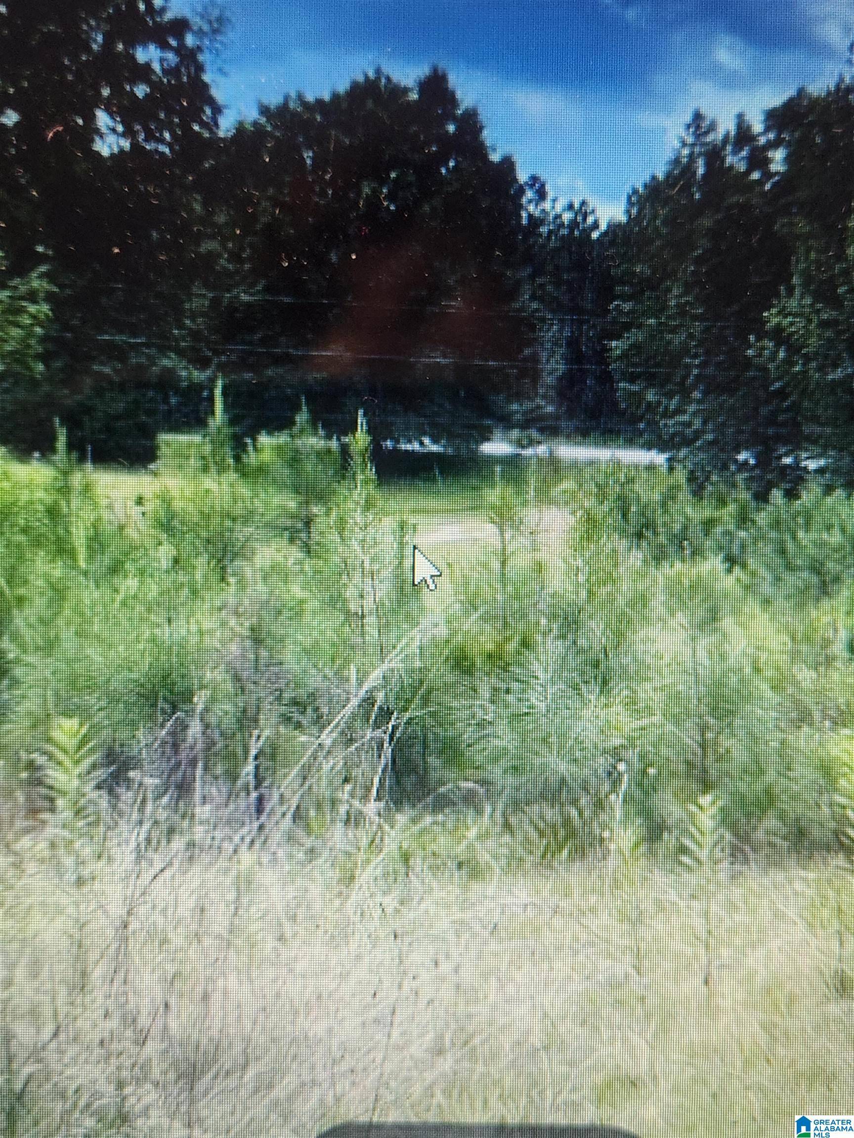 Remlap, AL 35133,587 MOUNTAIN DRIVE