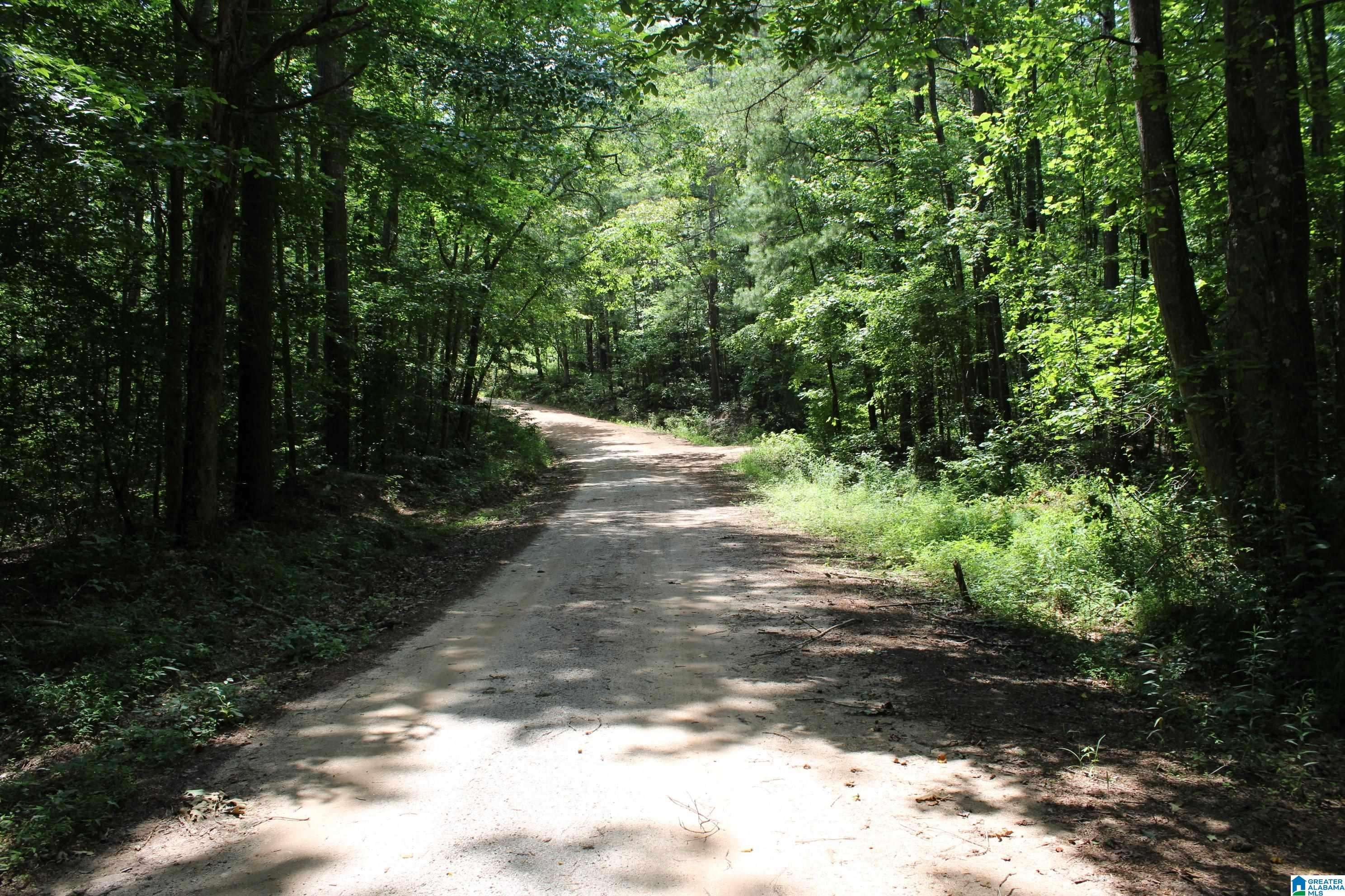 Wedowee, AL 36264,0 COUNTY ROAD 208 #0