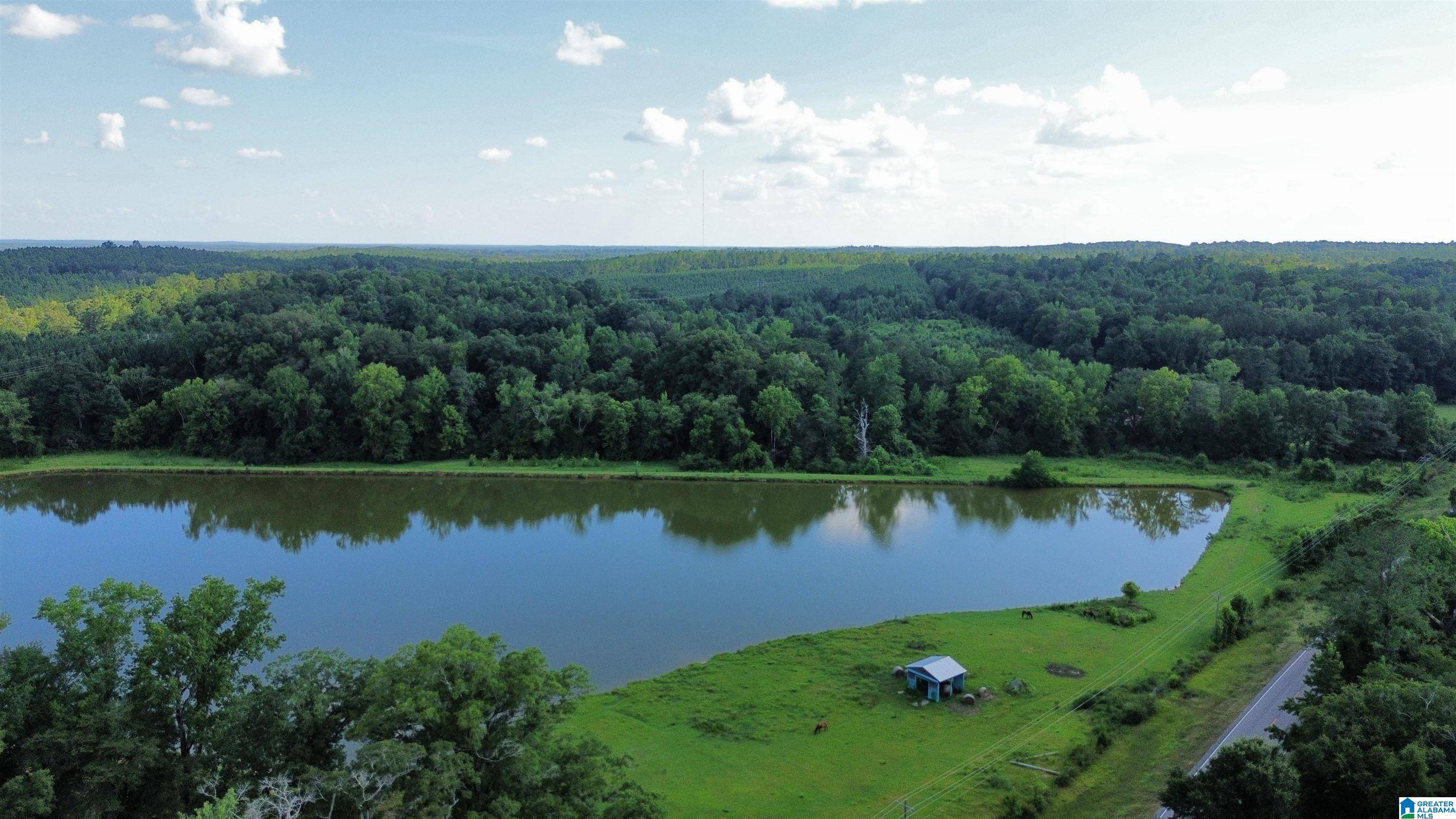 Eutaw, AL 35462,25845 US HIGHWAY 11 #n/a