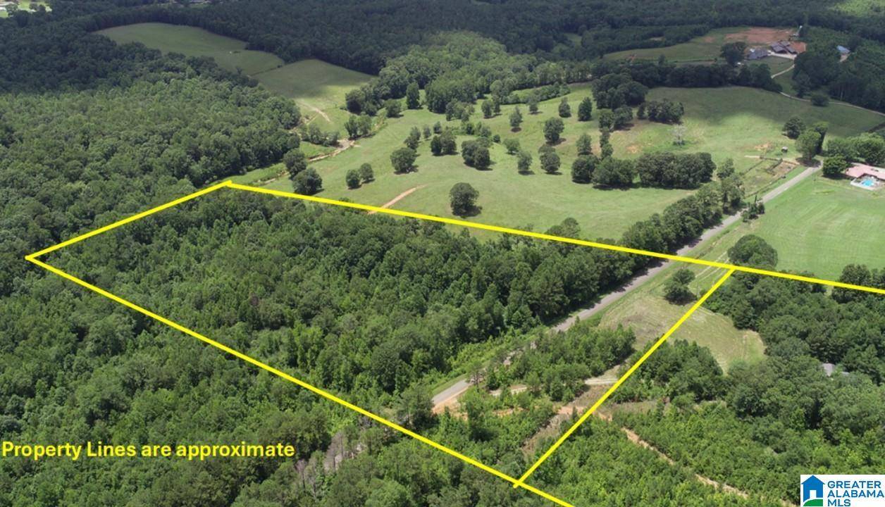 Wedowee, AL 36278,766 COUNTY ROAD 23 #0