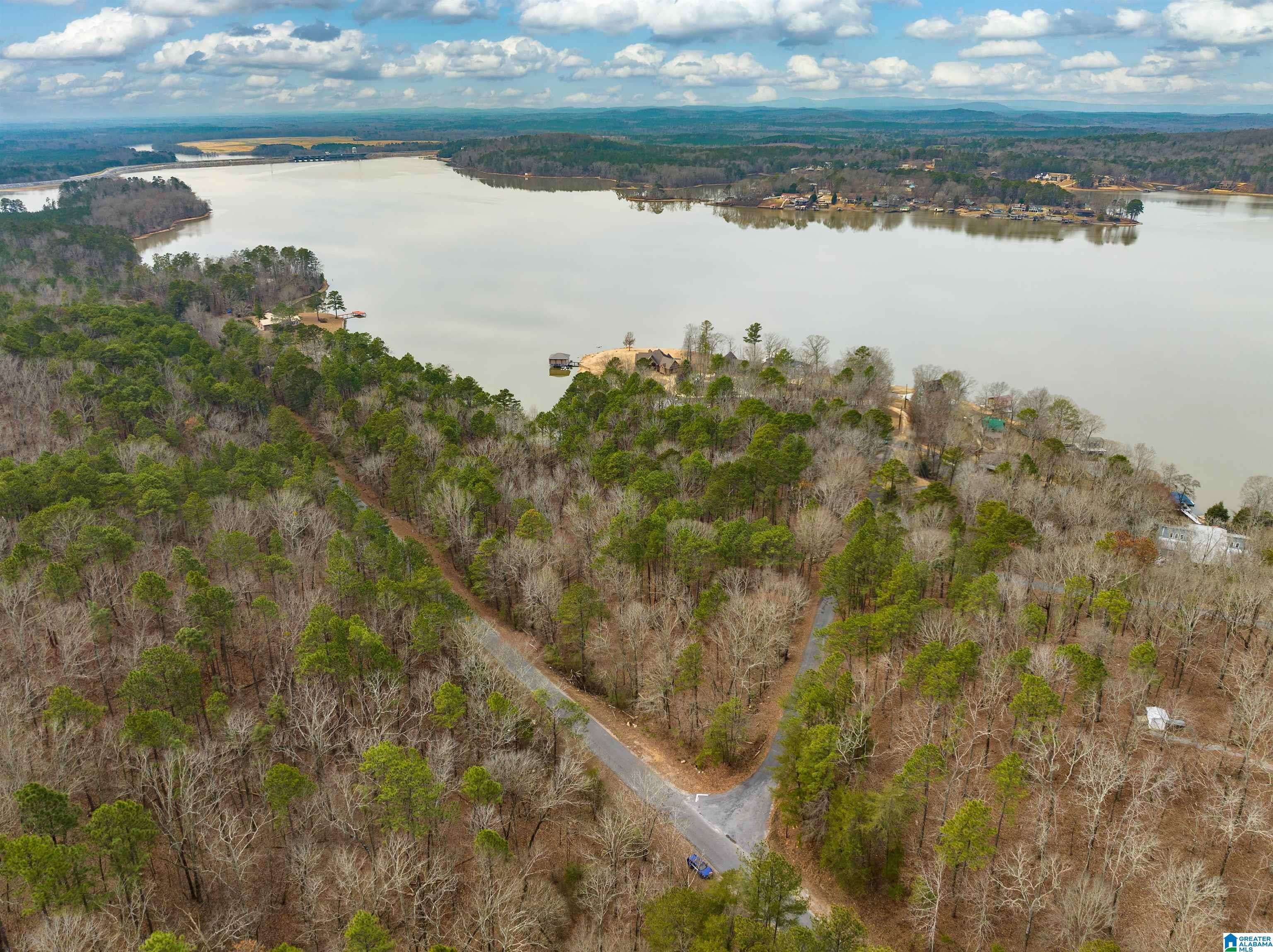 Alpine, AL 35014,Lot 4 CONSTELLATION DRIVE #2.42 acres