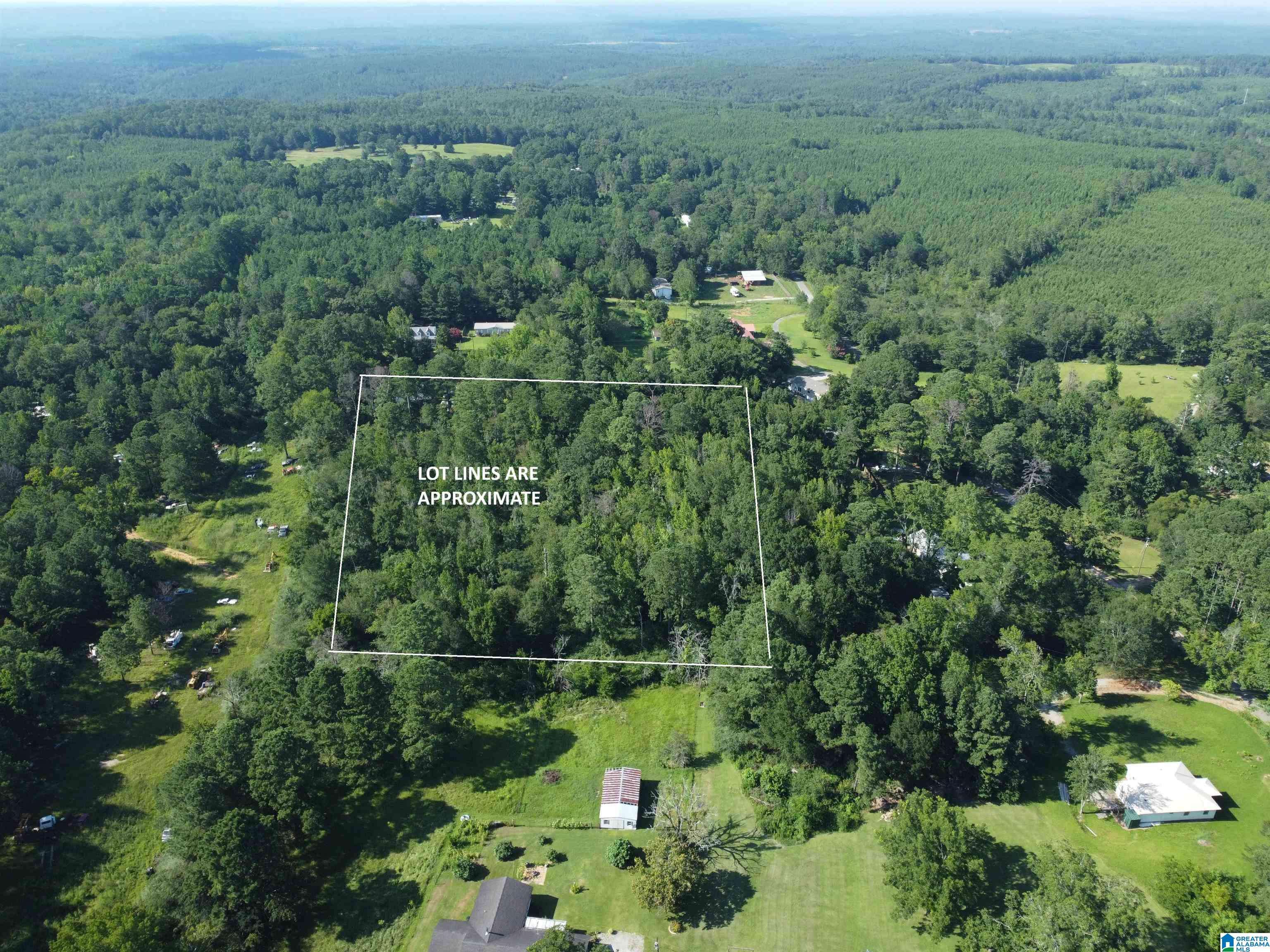 Montevallo, AL 35115,0 COUNTY ROAD 10 #000