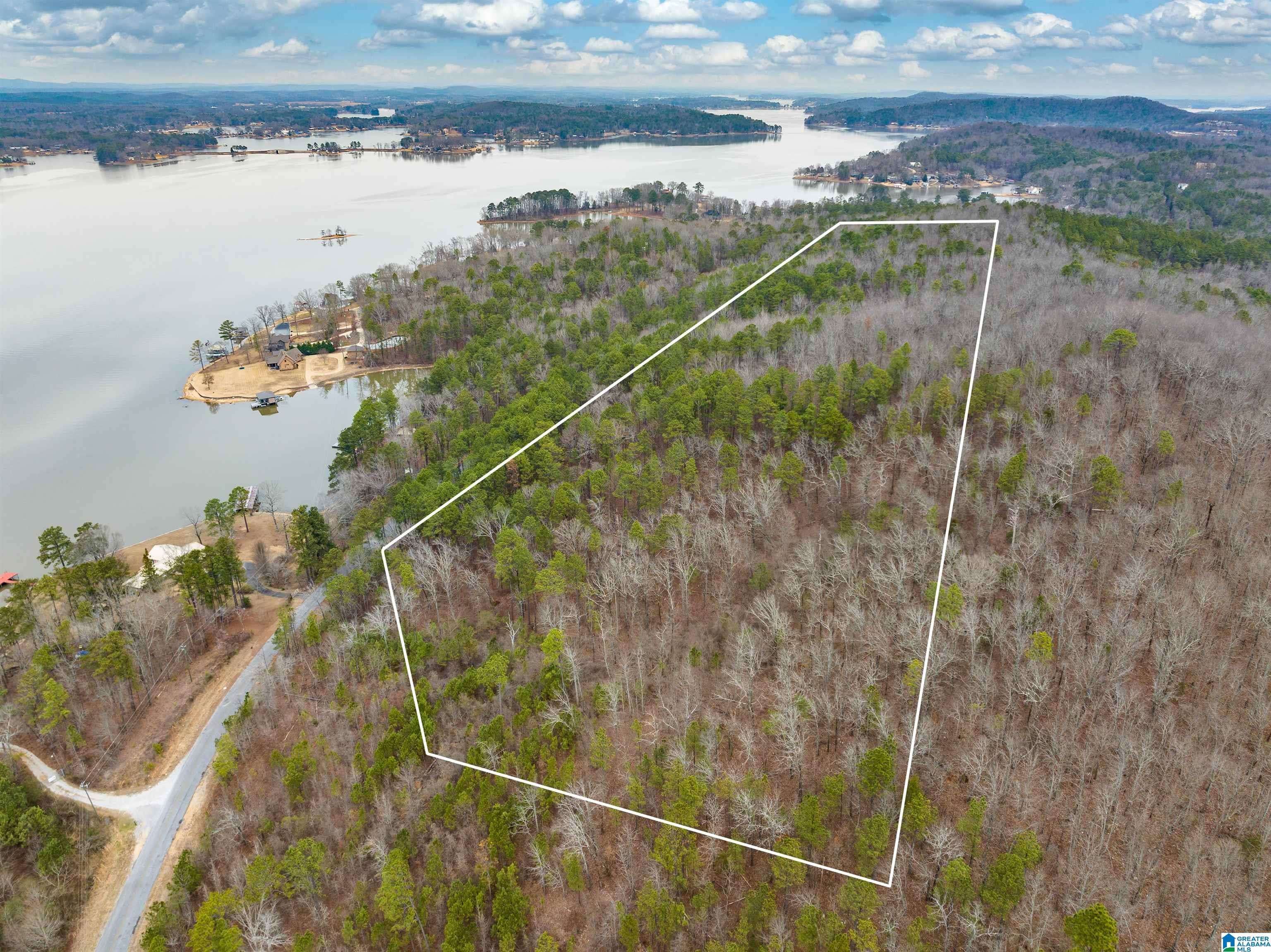 Alpine, AL 35014,34 Acres- Mtn CONSTELLATION DRIVE #34+ Acres-Mtn Tract ONE