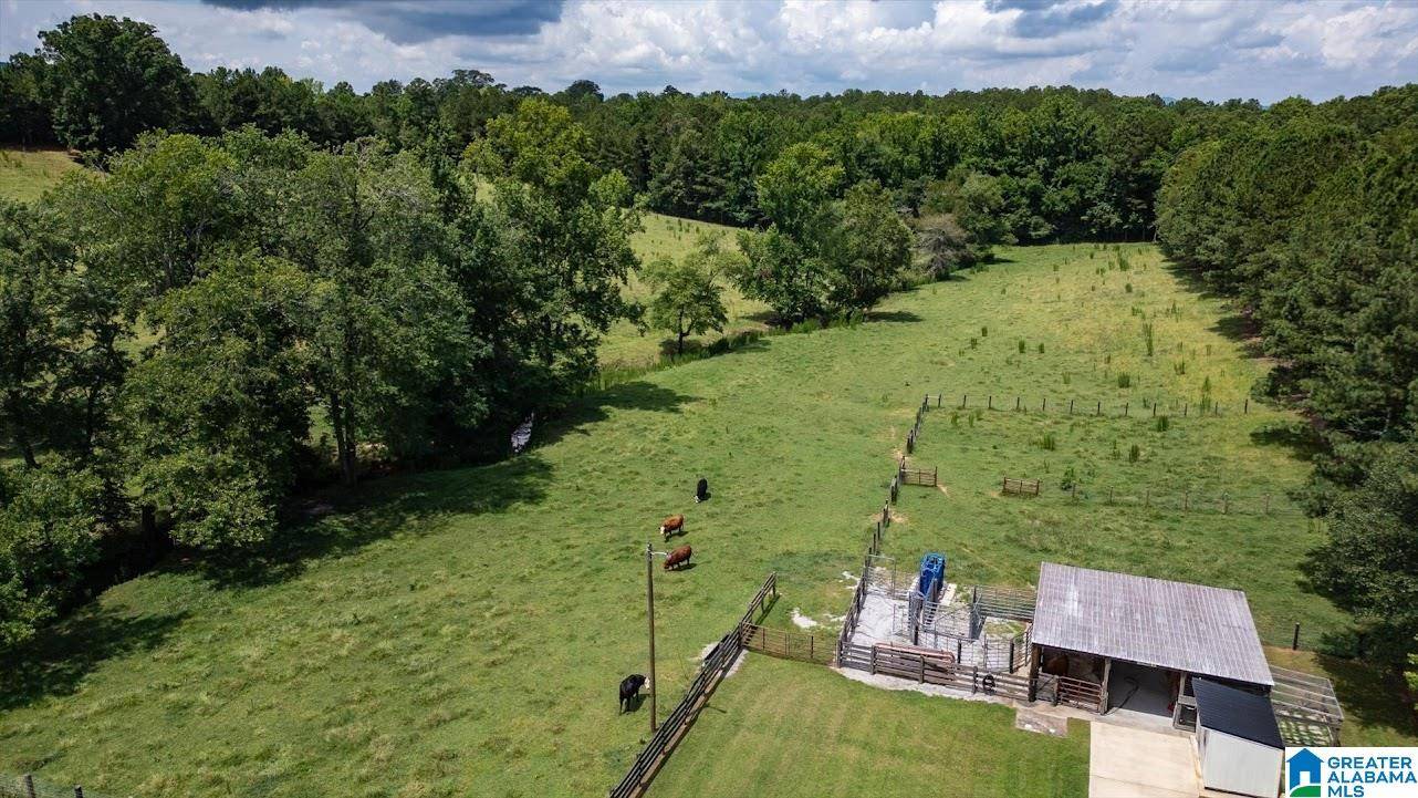 Heflin, AL 36264,0 COUNTY ROAD 19 #0