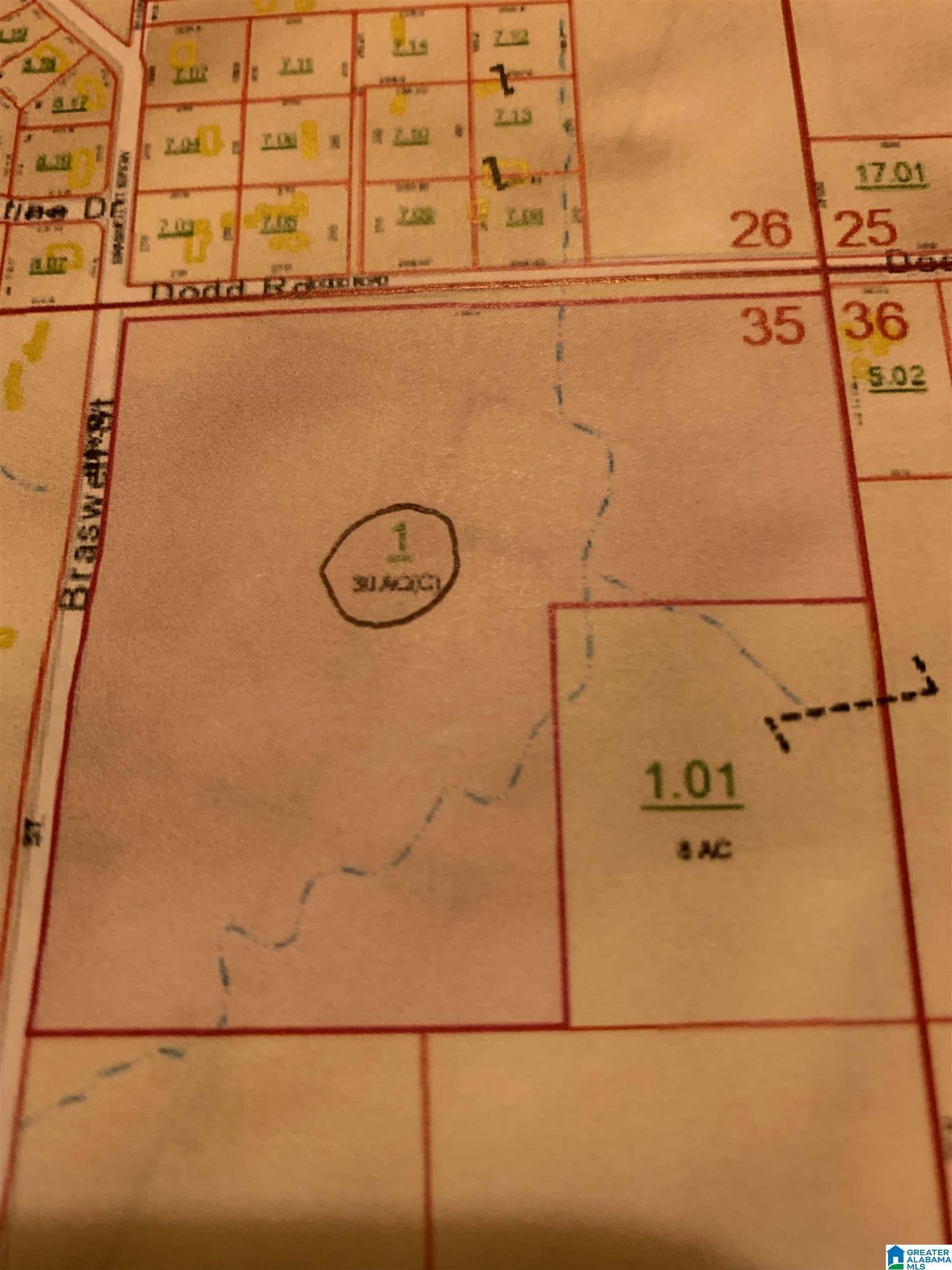 Snead, AL 35952,N BRASWELL STREET #3