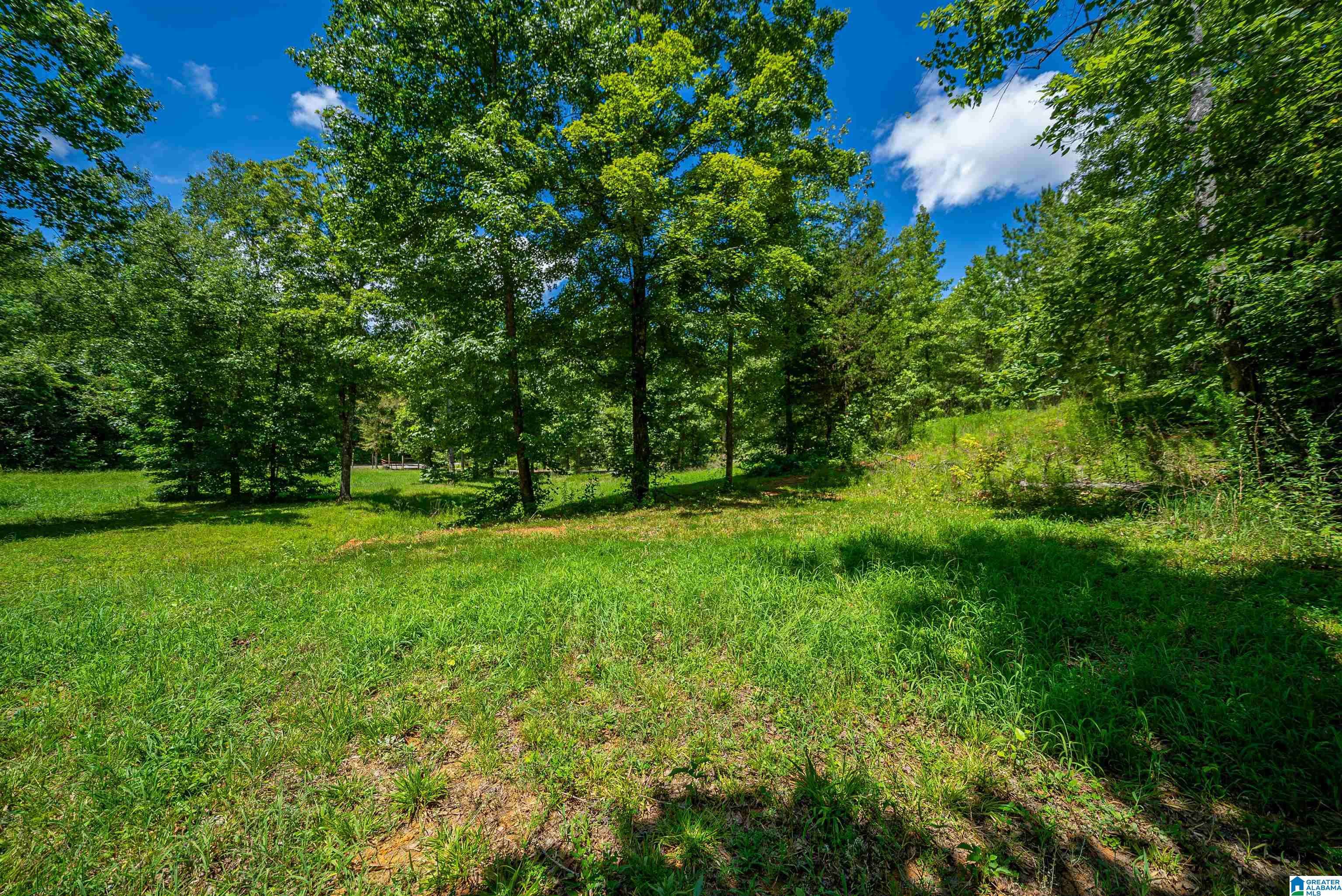 Piedmont, AL 36272,0 COUNTY ROAD 336 #0