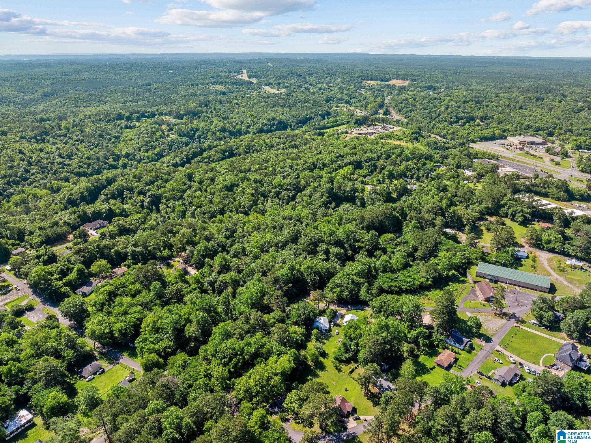 Graysville, AL 35073,399 12TH AVENUE SE #0