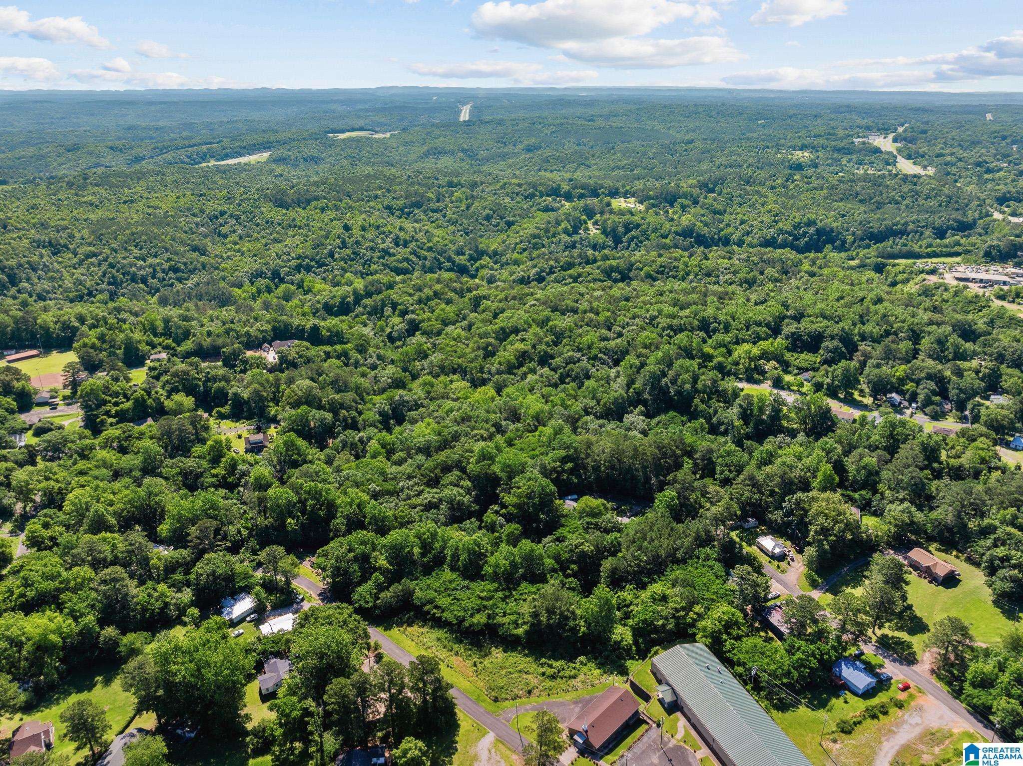 Graysville, AL 35073,399 12TH AVENUE SE #0