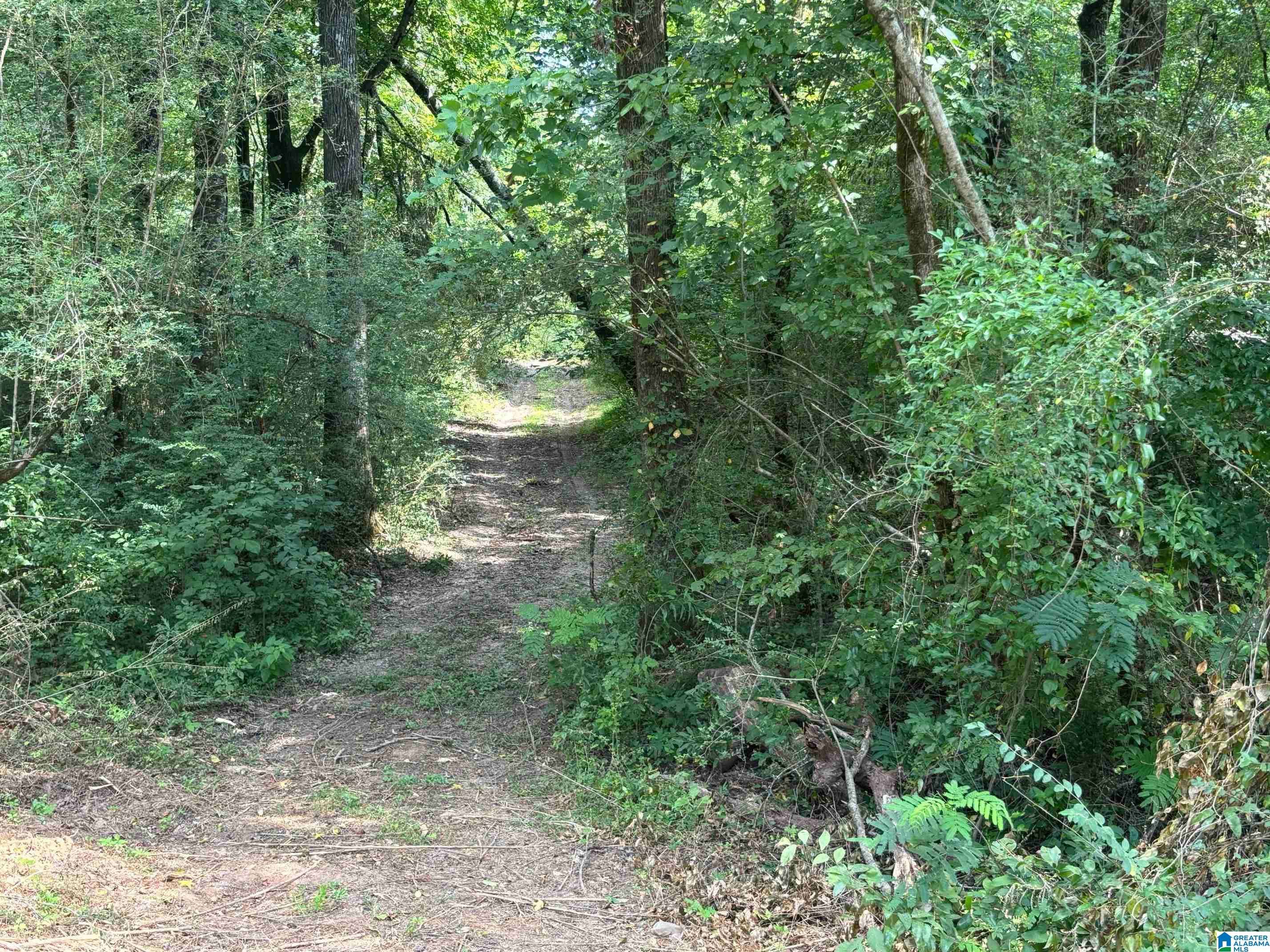 Lincoln, AL 35096,1675 BLUE EYE SPRINGS ROAD