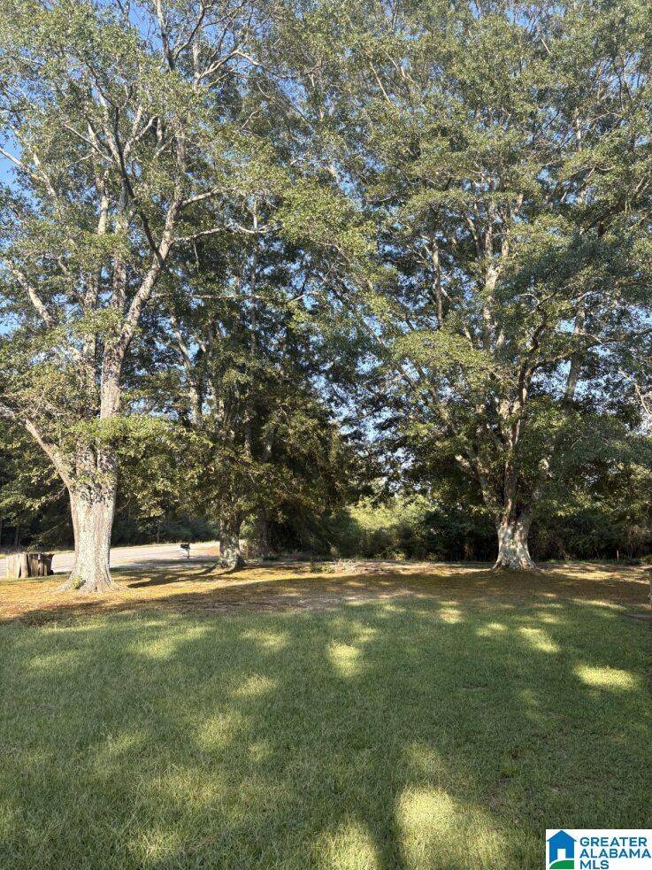 Phil Campbell, AL 35581,4025 COUNTY ROAD 172