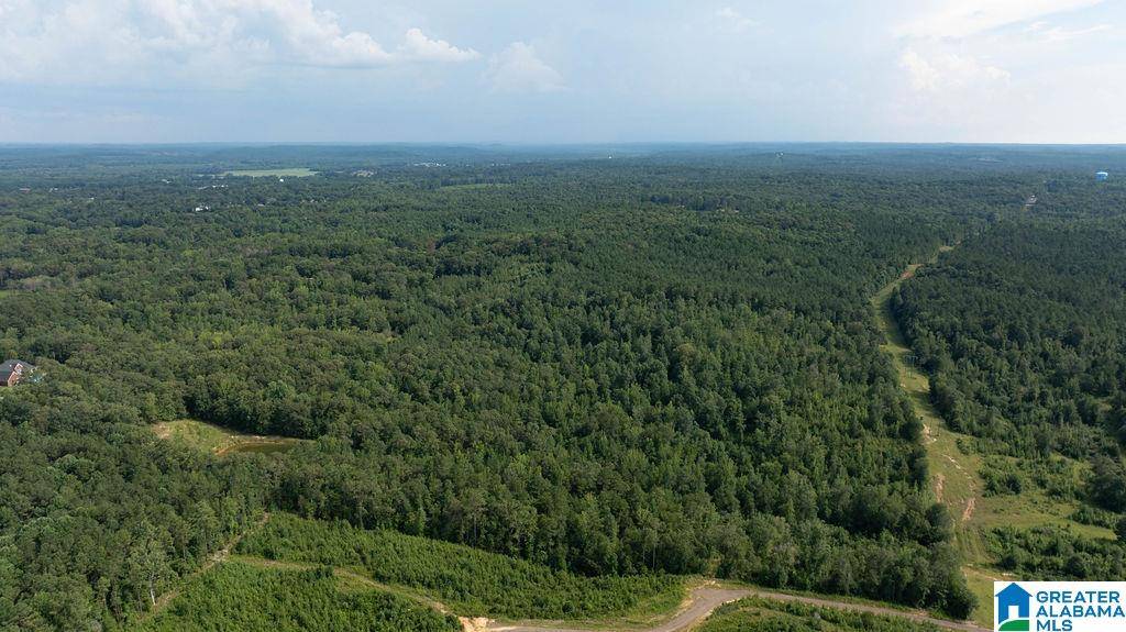 Fayette, AL 35555,0 WILKERSON ROAD #0