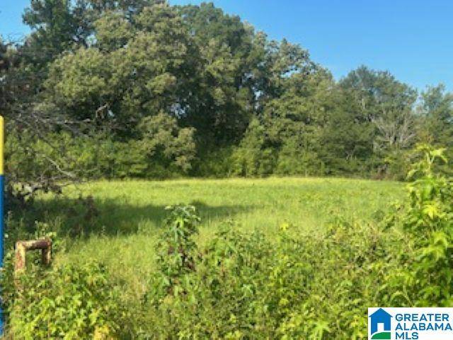 Bessemer, AL 35022,961 BLACKERBY LANE #0