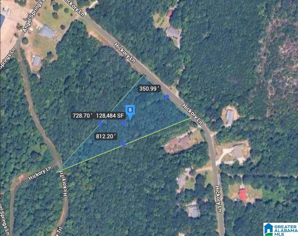 Odenville, AL 35120,179 HICKORY LANE #0