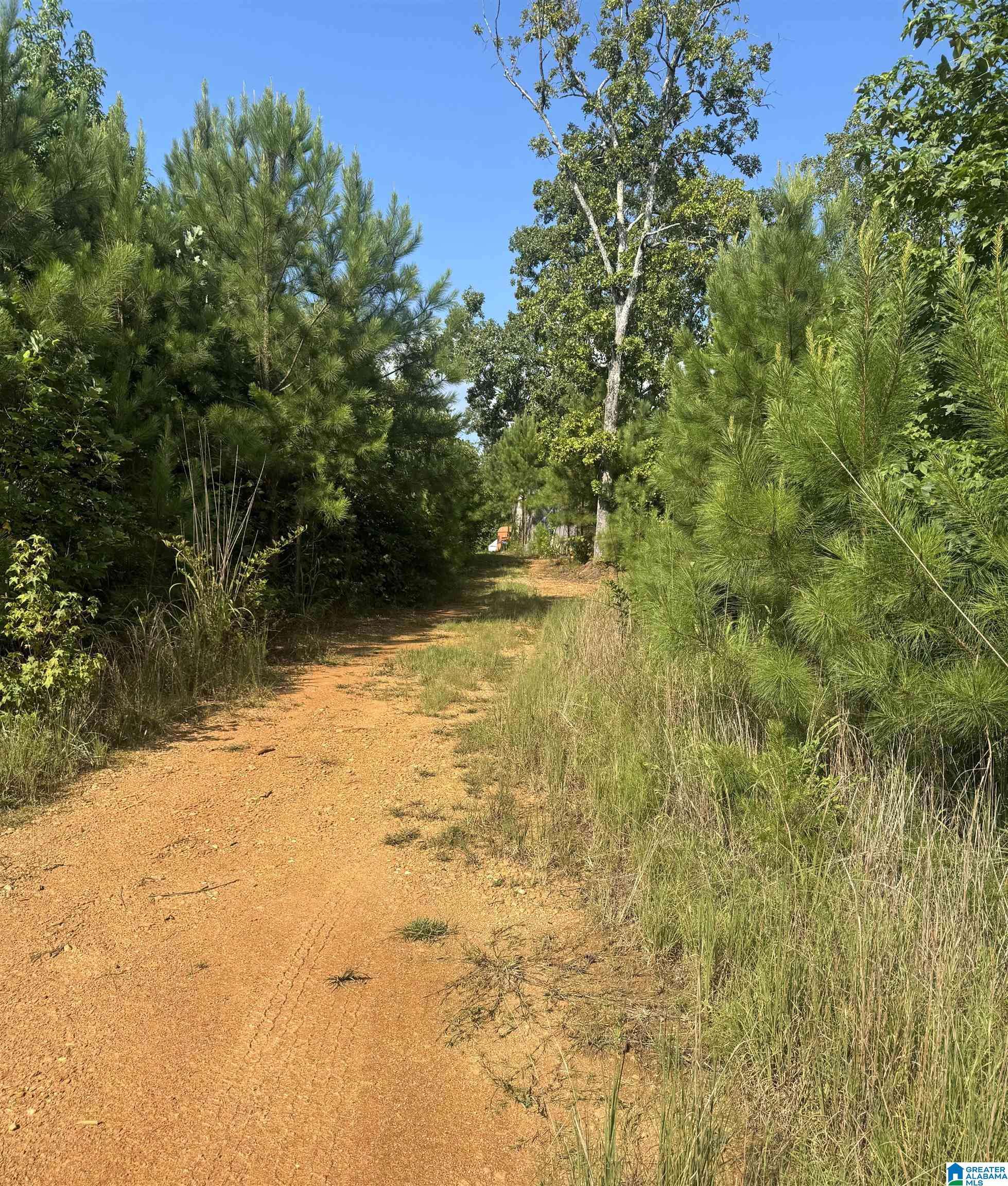 Muscadine, AL 36269,0 COUNTY ROAD 49 #0