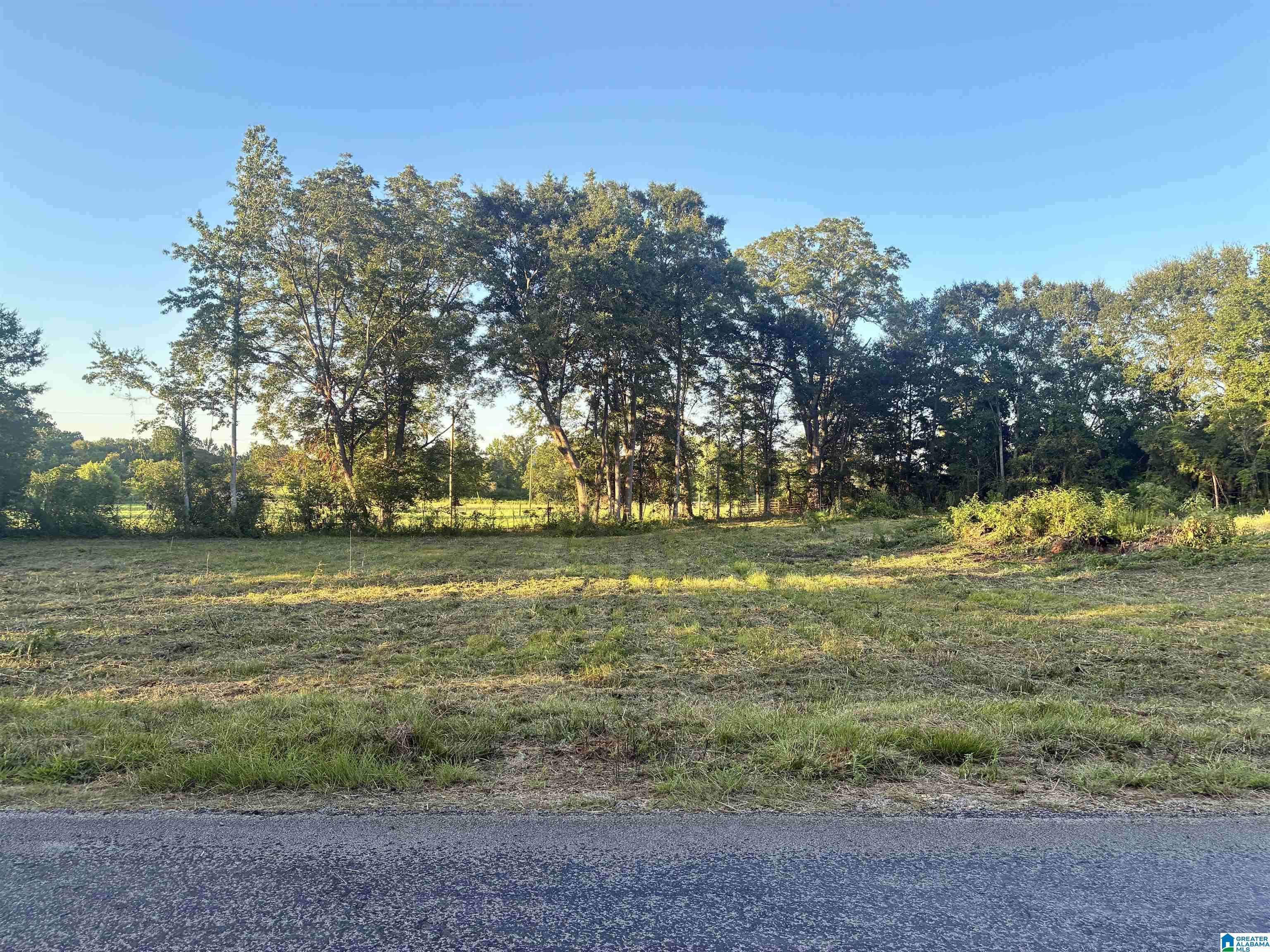Clanton, AL 35045,0 COUNTY ROAD 232 #1