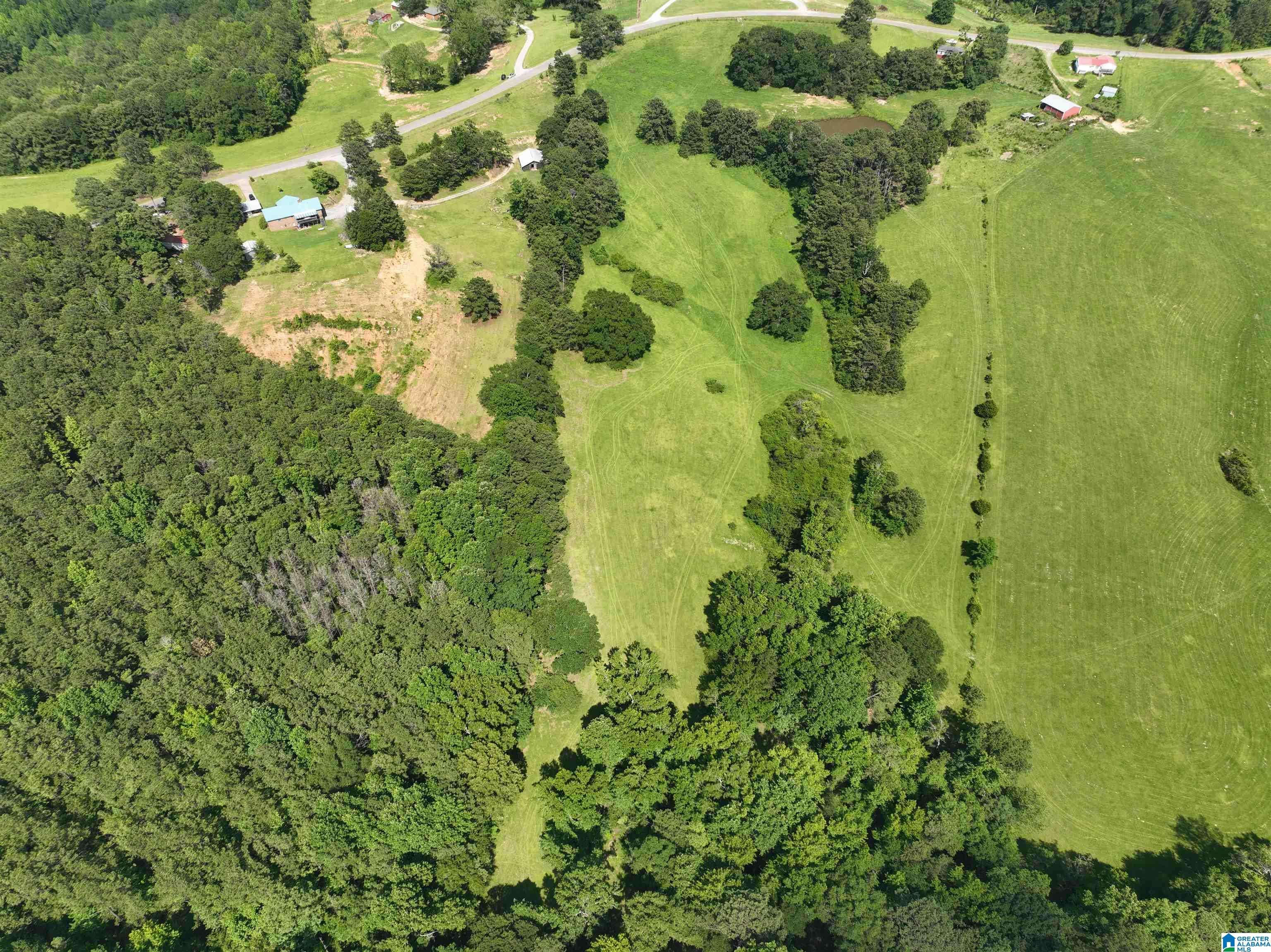Jemison, AL 35085,0 COUNTY ROAD 295 #1