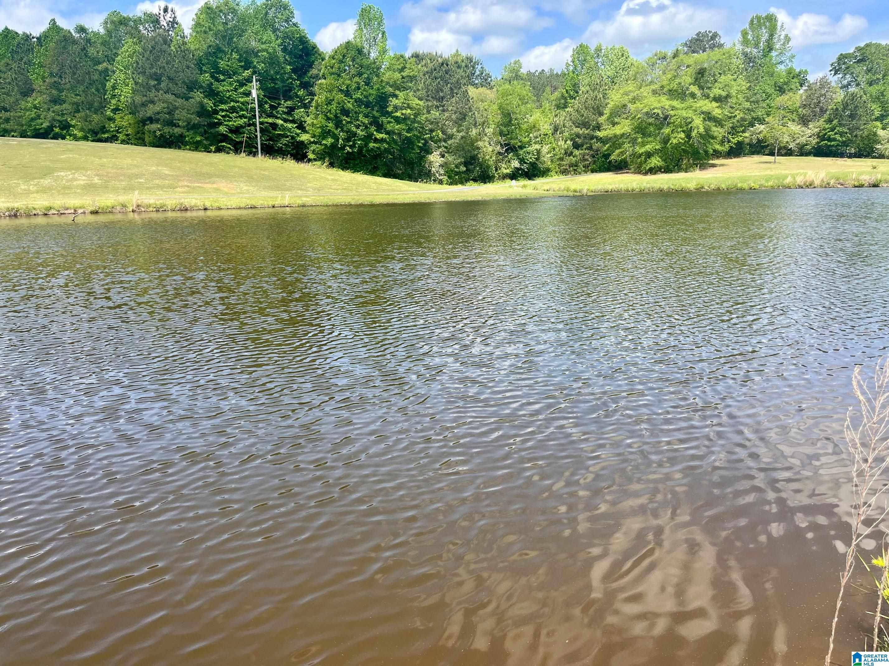 Roanoke, AL 36274,Lot 7 MARY DRIVE #7