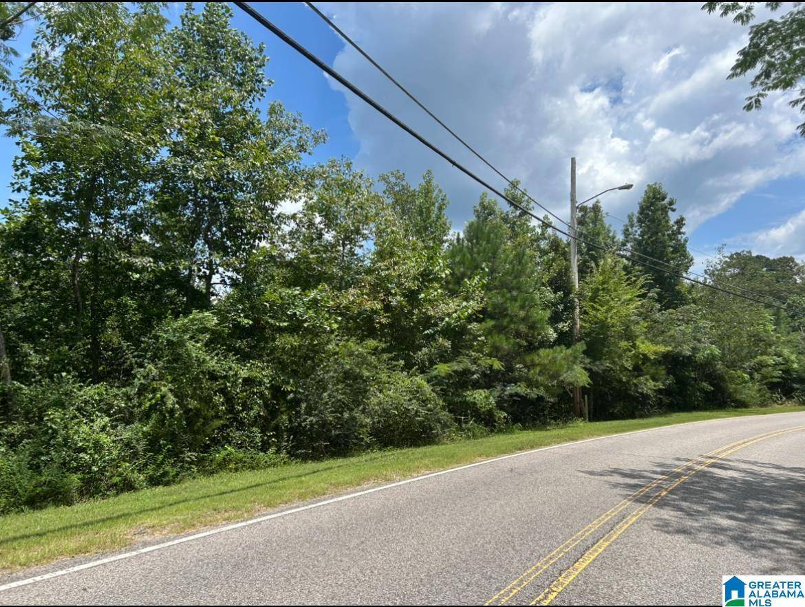 West Blocton, AL 35184,23 Acres TRUMAN ALDRICH PARKWAY #23 ACRES