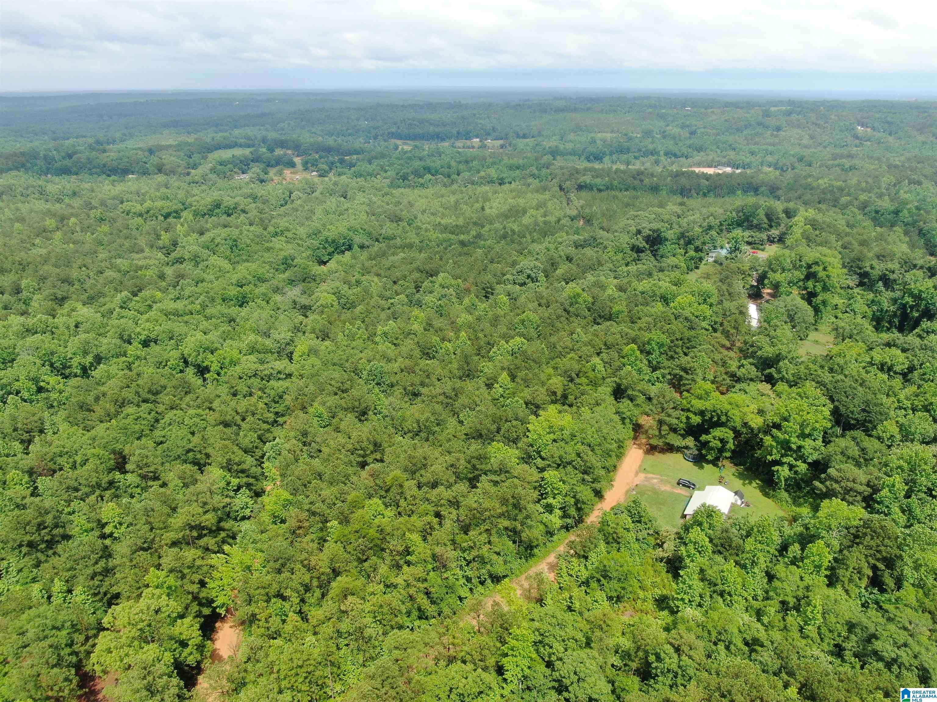 Marbury, AL 36051,COUNTY ROAD 536 #1