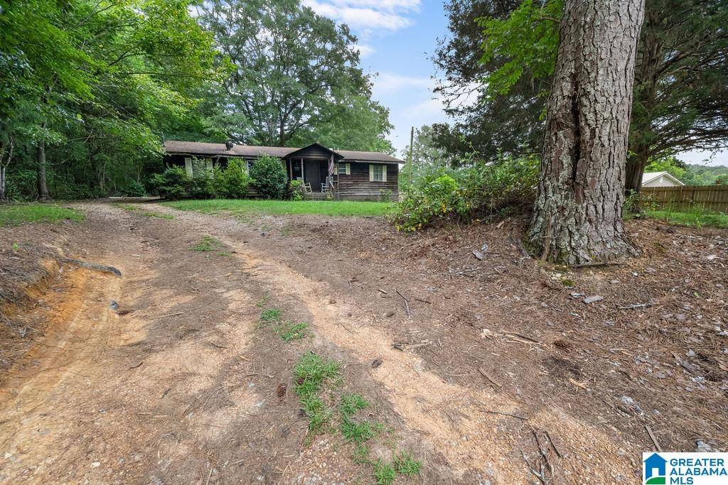 Ashville, AL 35953,10241 CO ROAD