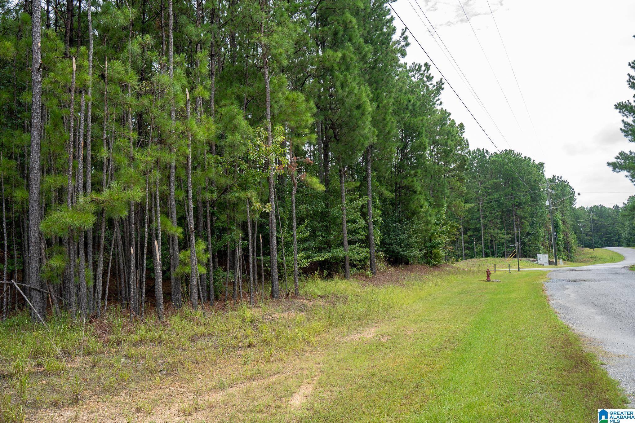 Sylacauga, AL 35151,220 BOATHOUSE CIRCLE #220