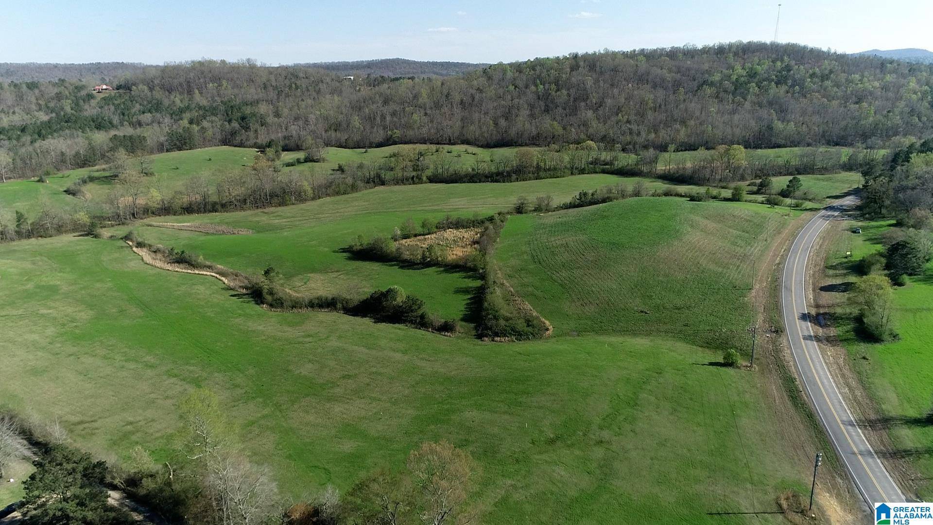 Springville, AL 35146,HIGHWAY 174 #Tract 3