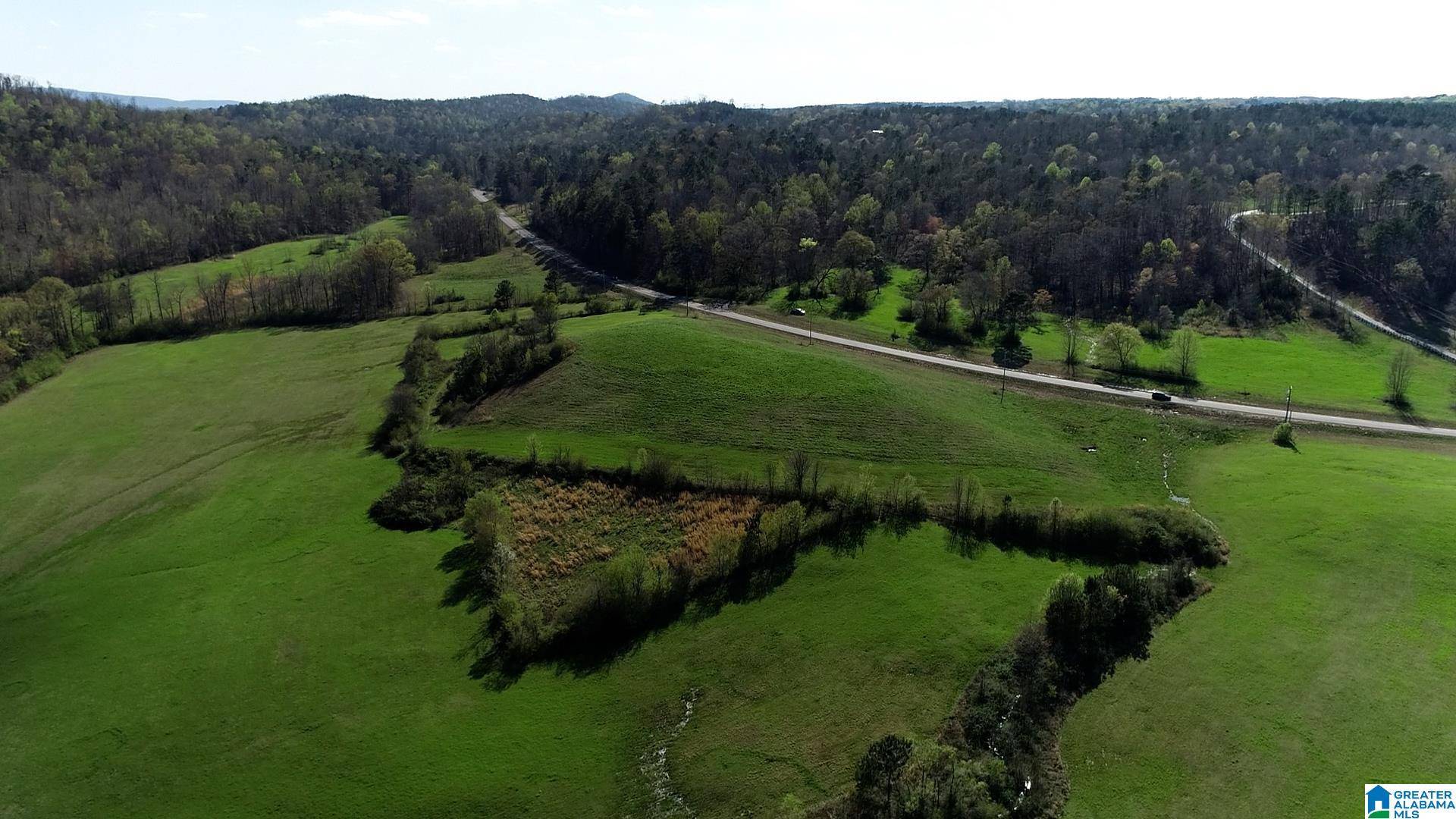 Springville, AL 35146,HIGHWAY 174 #Tract 3