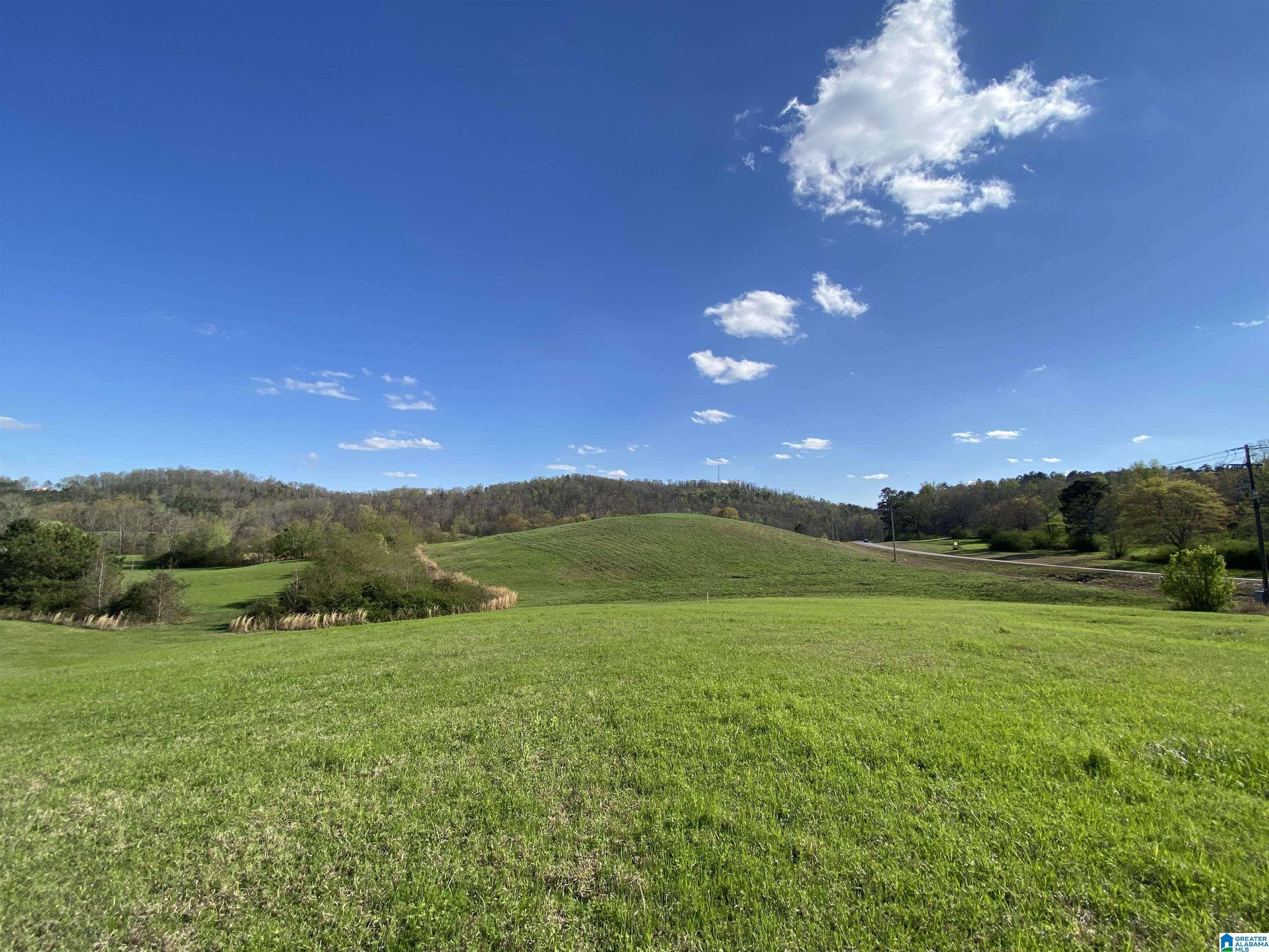 Springville, AL 35146,6555 HIGHWAY 174 #Tract 4 and 6