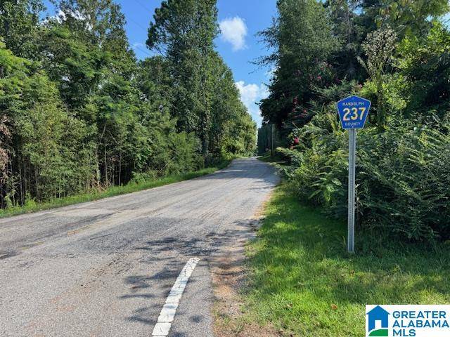 Wedowee, AL 36278,COUNTY ROAD 237 #34 Acres