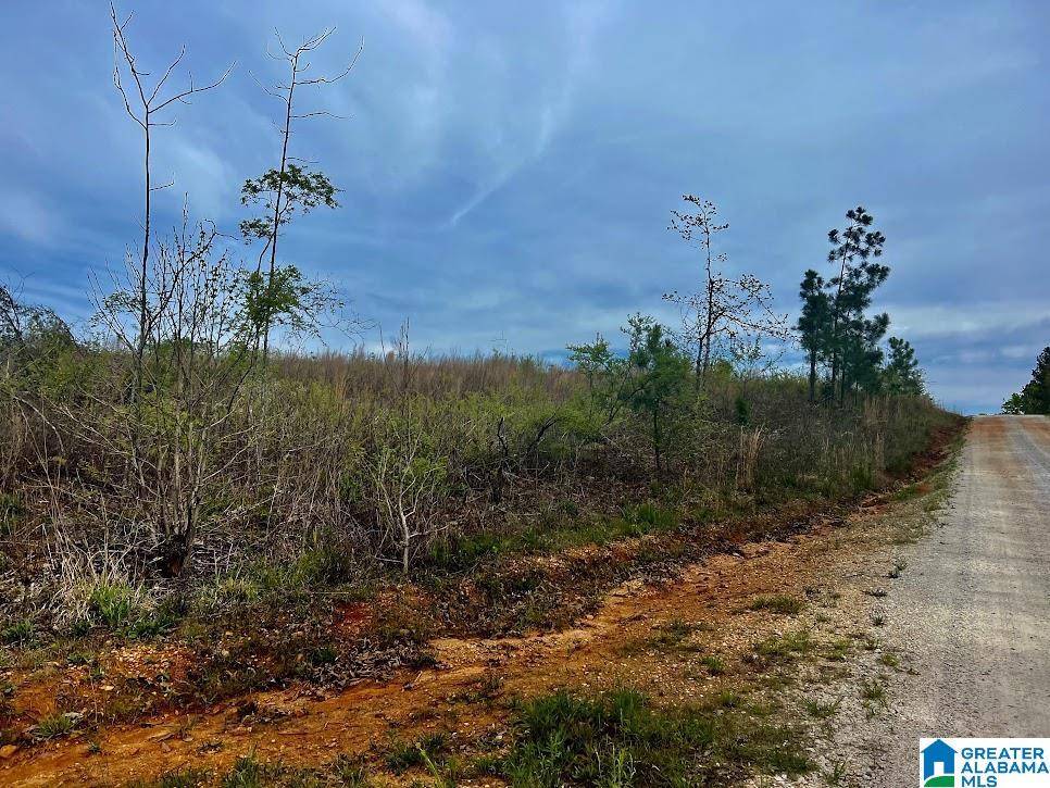 Wedowee, AL 36278,Tract B COUNTY ROAD 123 #0