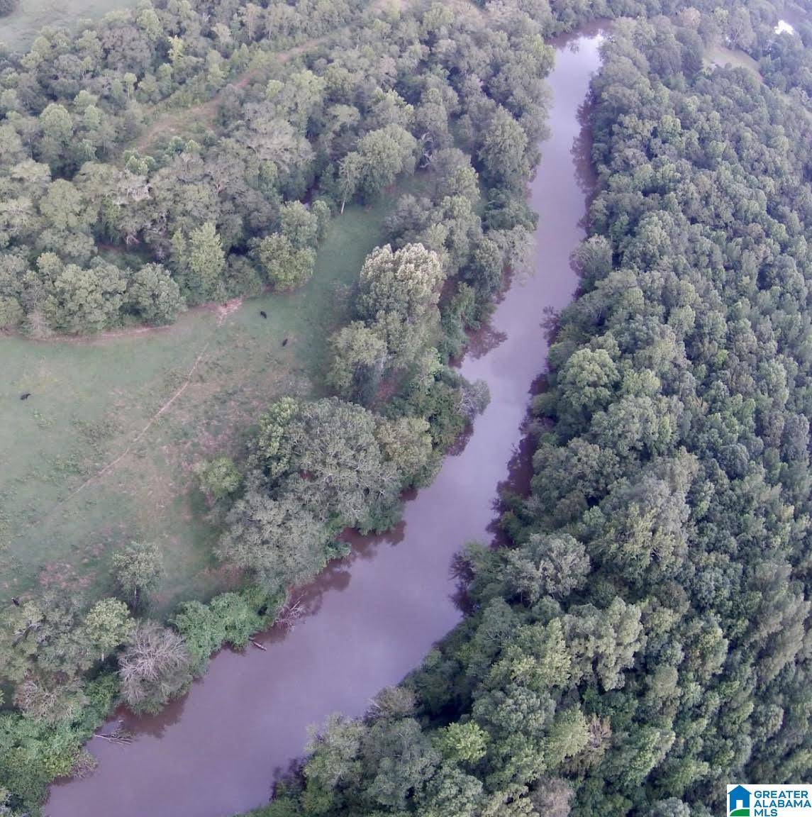 Newell, AL 36280,1768 COUNTY ROAD 432 #NA