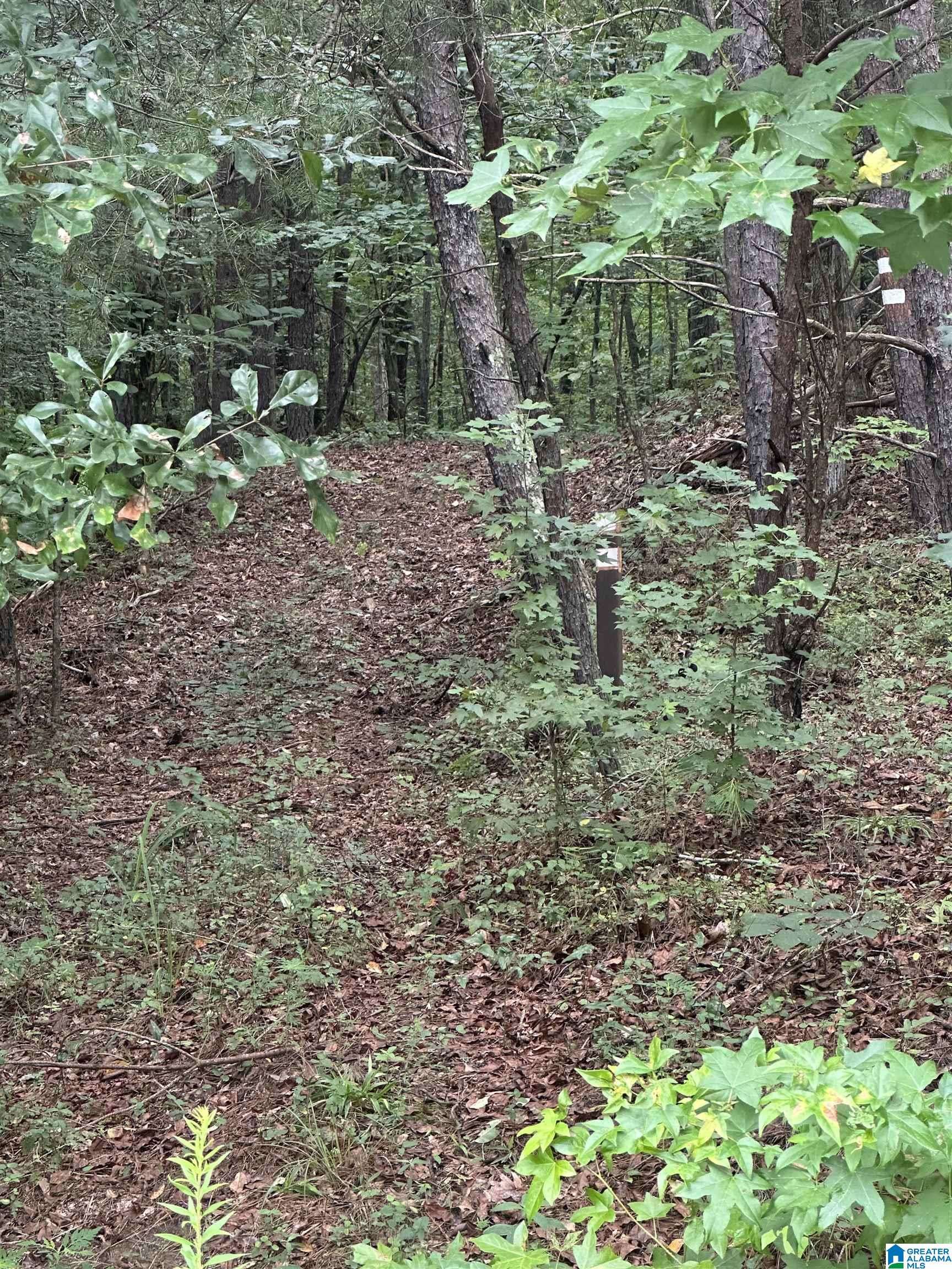 Ragland, AL 35131,1835 NW OLD HIGHWAY 26 #0