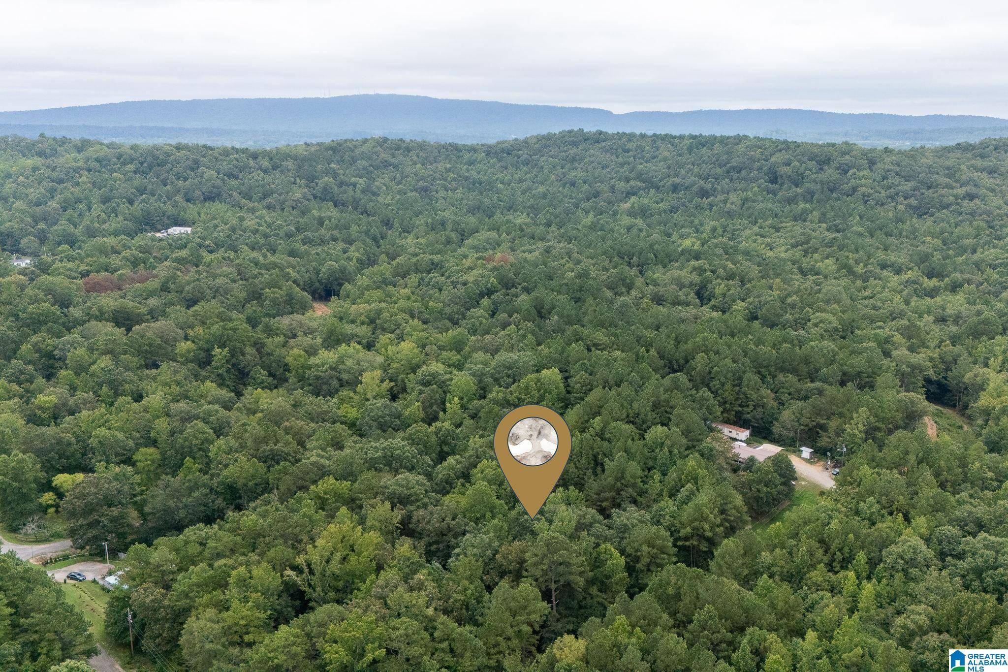 Odenville, AL 35120,0 PENNY LANE #1