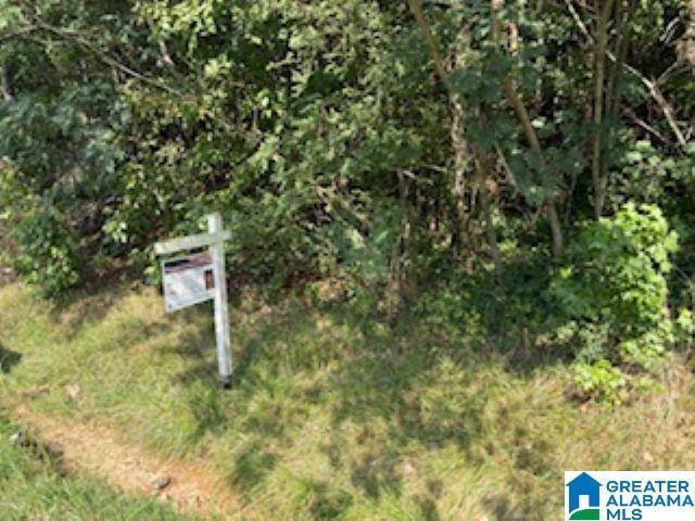Hoover, AL 35244,3815 CENTER POINT PARKWAY #1