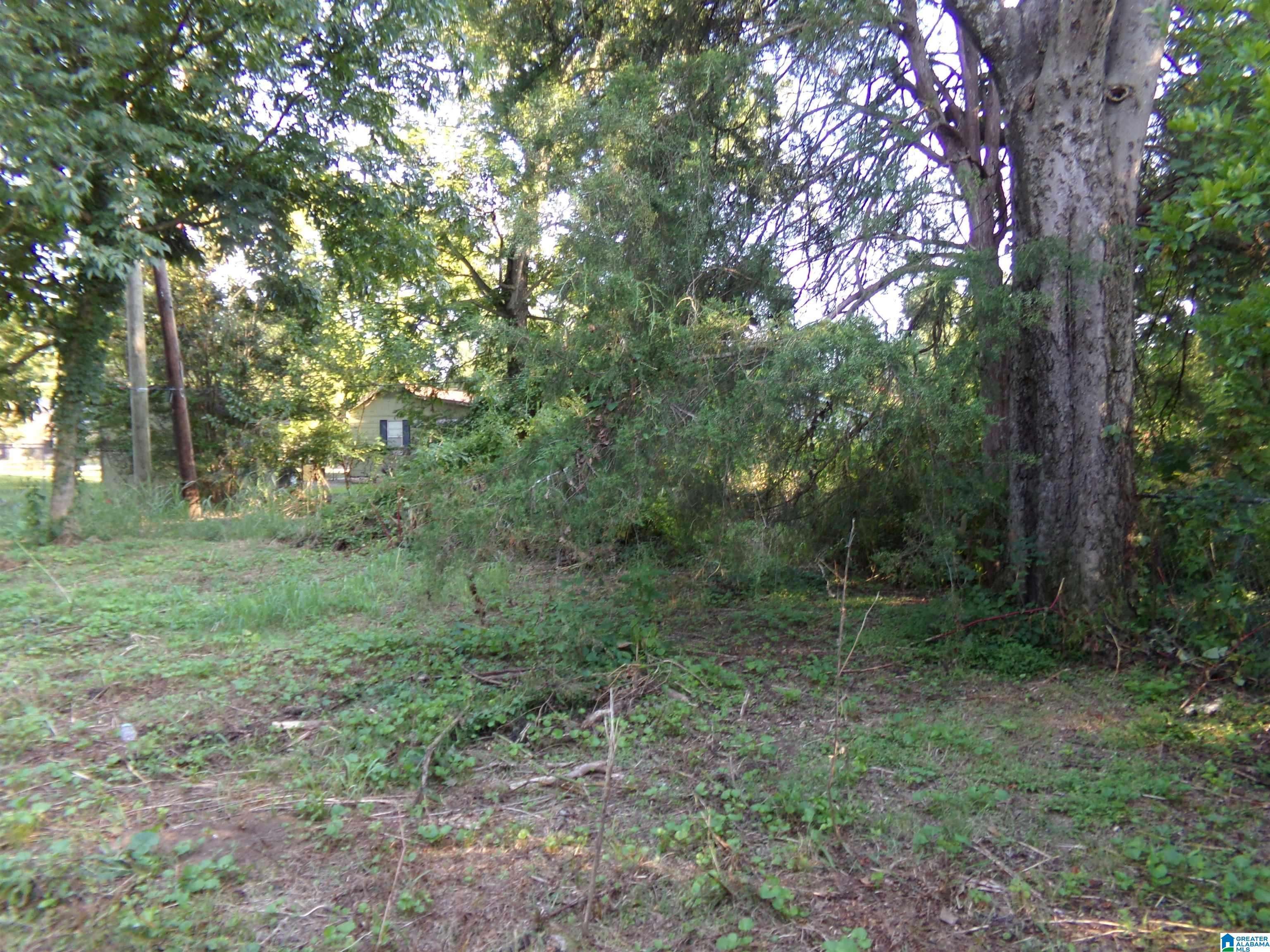 Birmingham, AL 35221,3709 HEMLOCK AVENUE SW #1