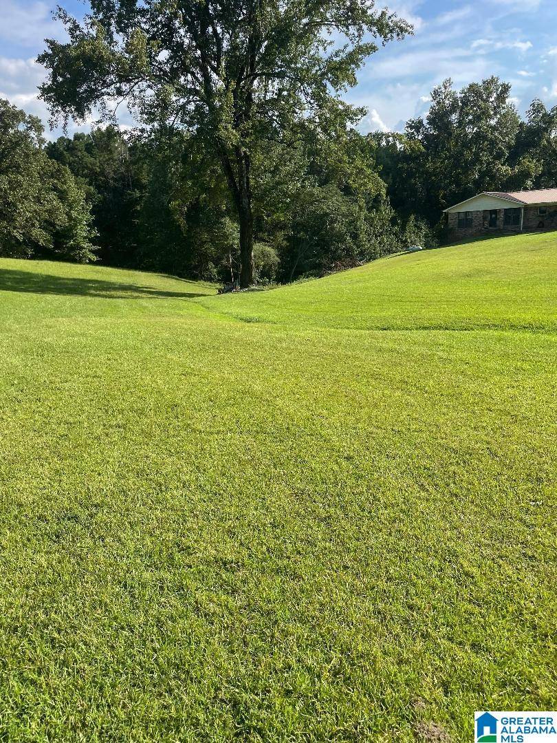 Empire, AL 35063,3324 COON CREEK ROAD