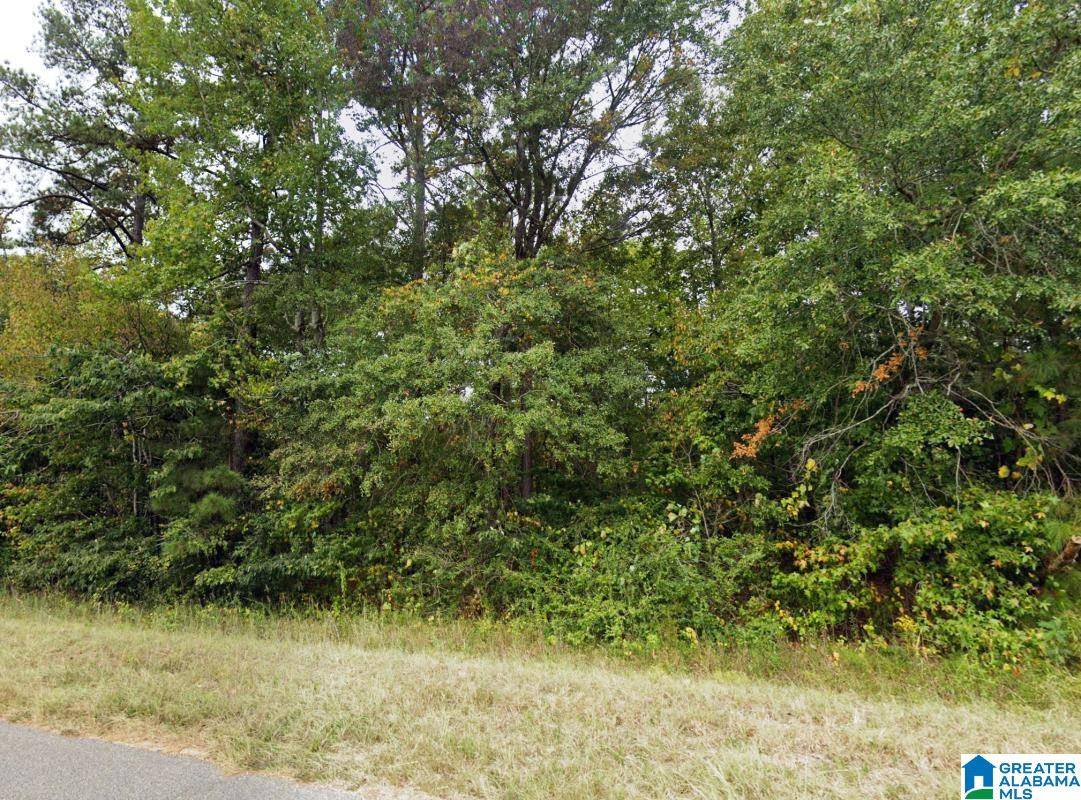Clanton, AL 35046,COUNTY ROAD 97 #-