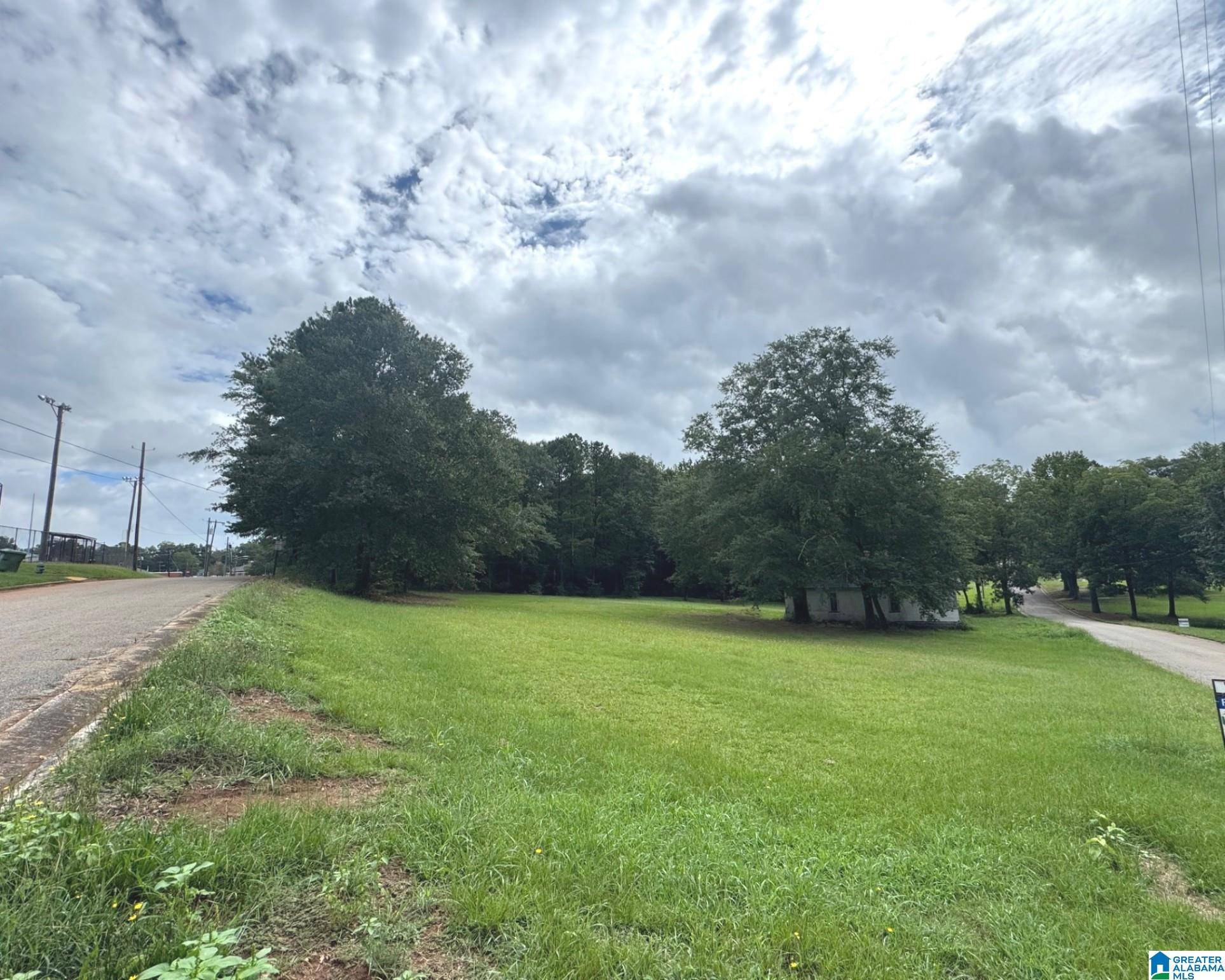 Ashland, AL 36251,5TH AVENUE SW #1.93 acres