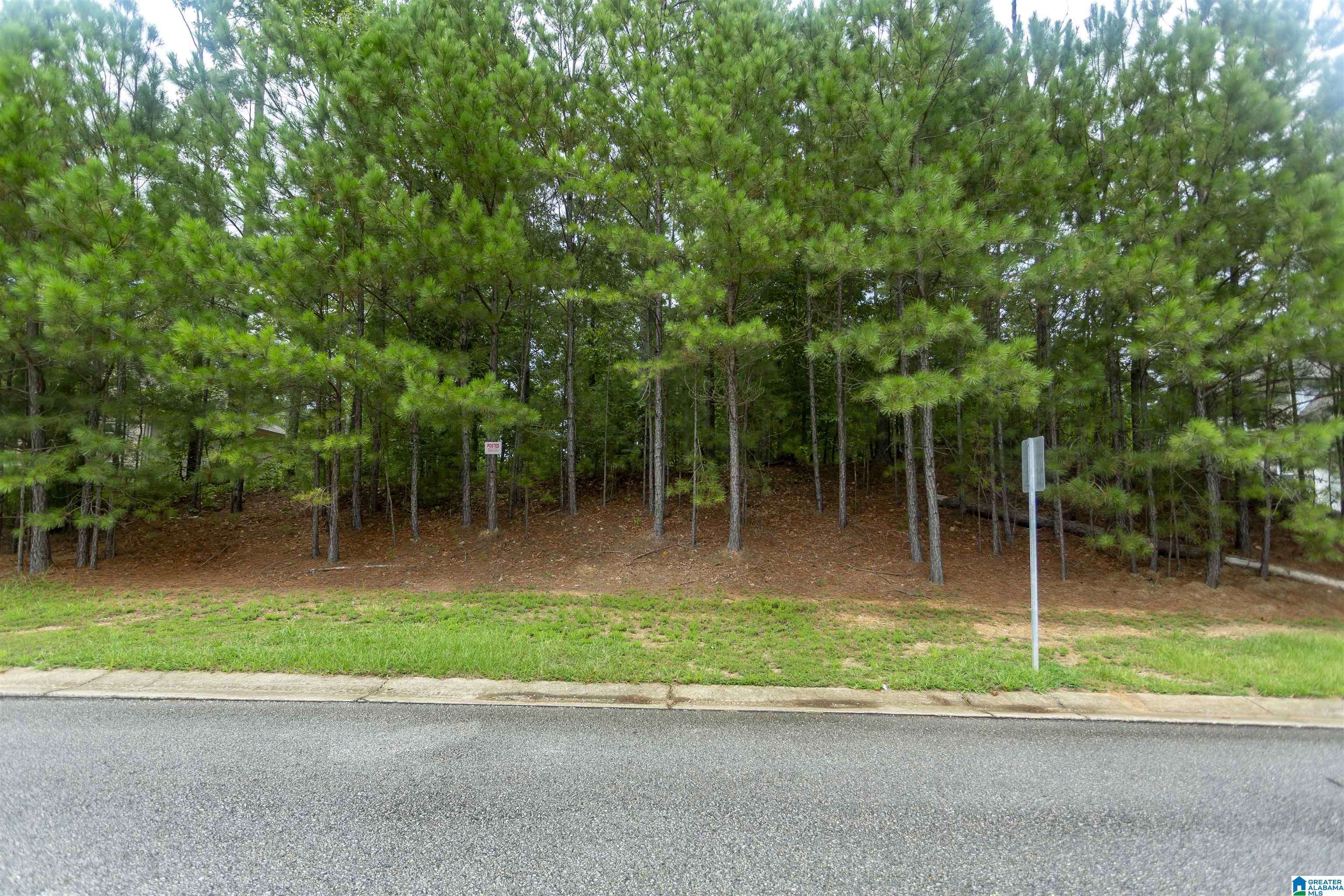 Chelsea, AL 35043,293 WOODBRIDGE TRAIL #63