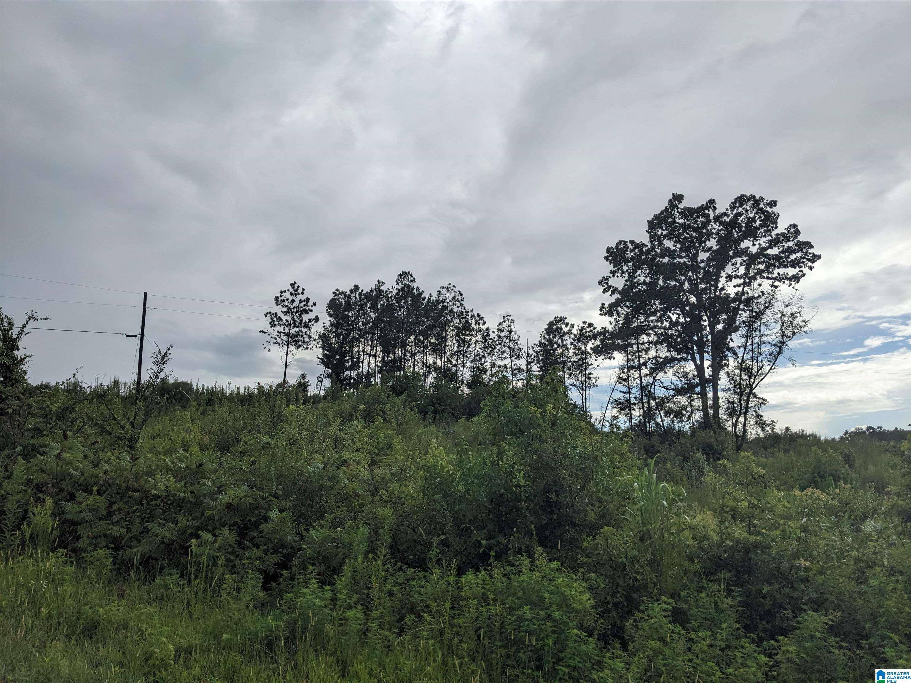 Trafford, AL 35172,0 VAUGHN ROAD #0