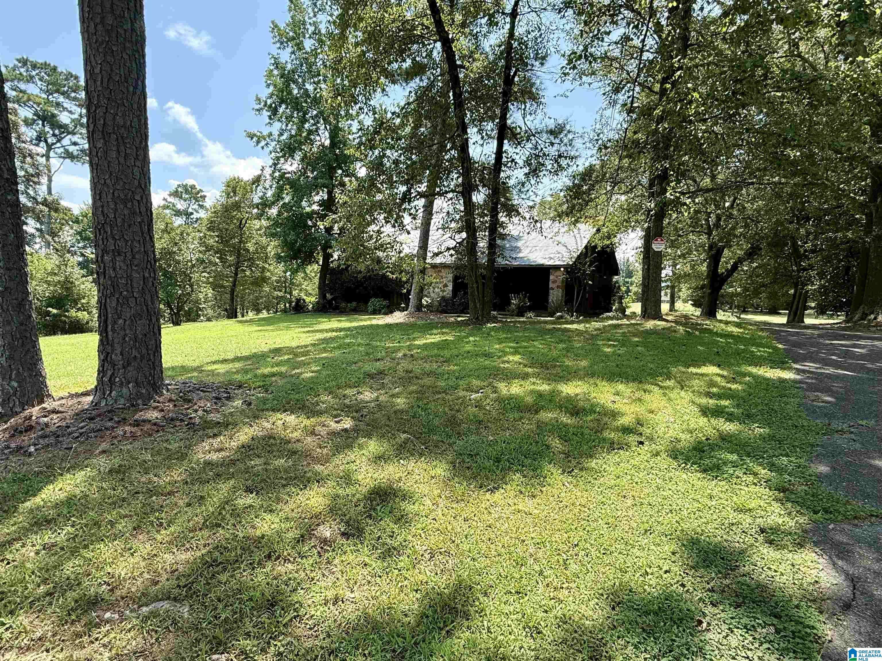 Blountsville, AL 35031,1130 COLLEGE STREET