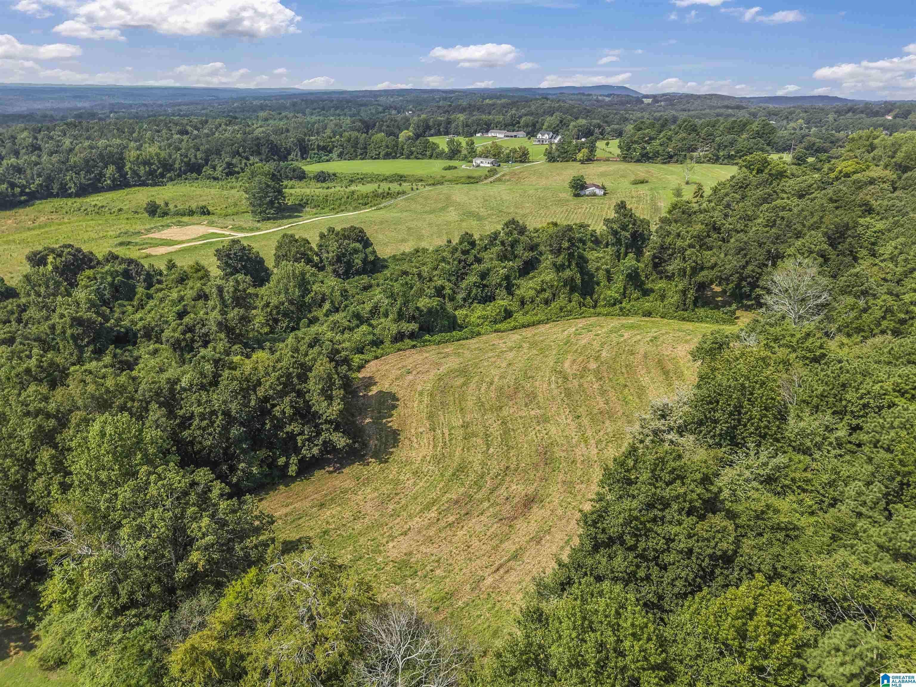 Hayden, AL 35079,250 RUNWAY DRIVE