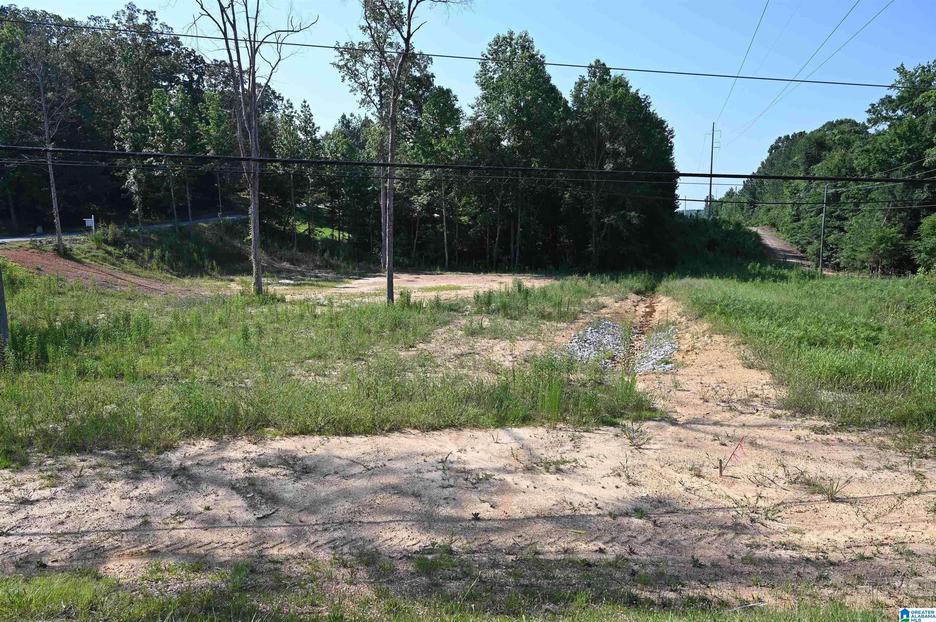 Westover, AL 35147,104 COTTAGE LANE #1